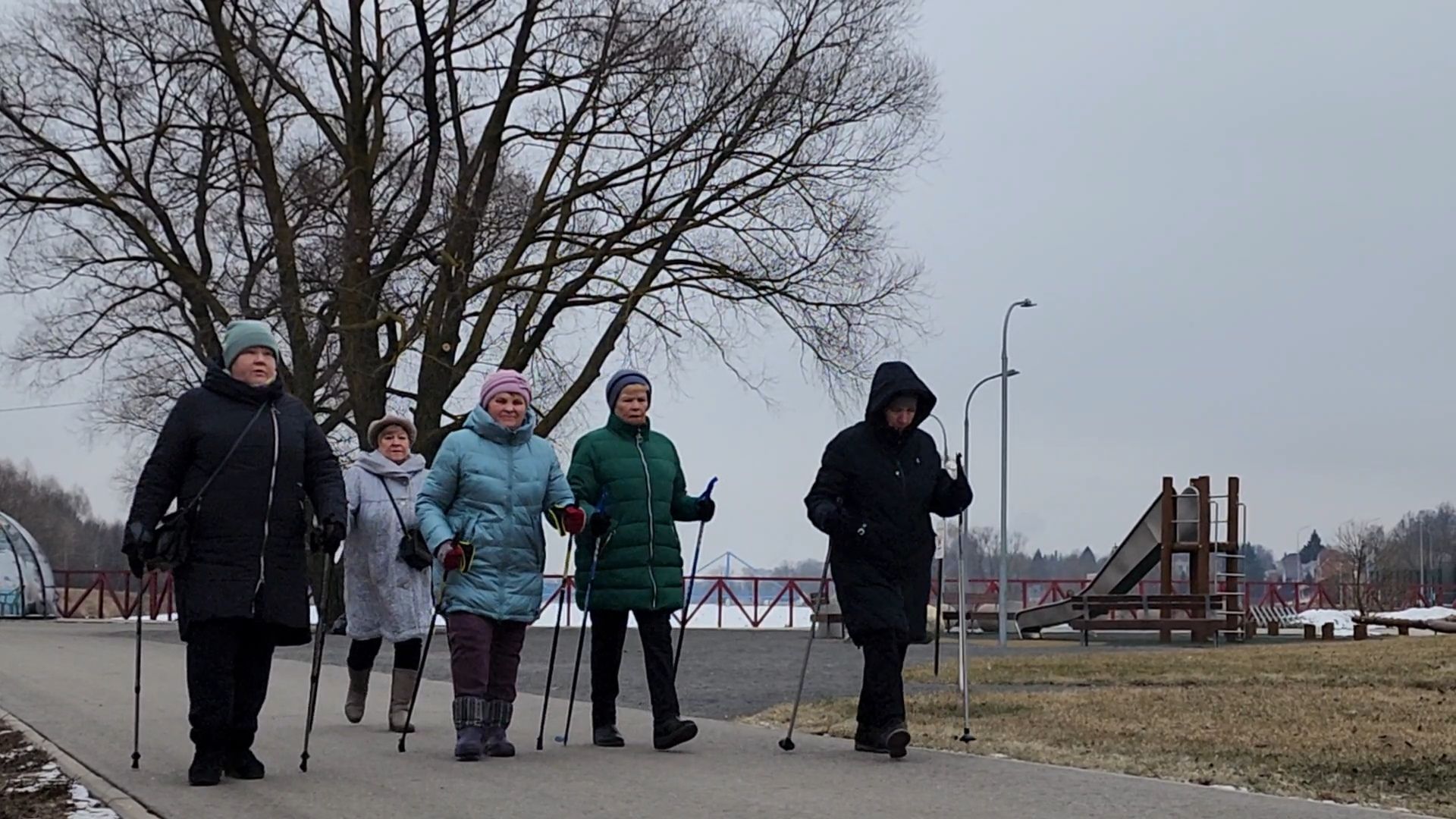 вертикалки, Бронницы, активное долголетие, Скандинавская ходьба,
