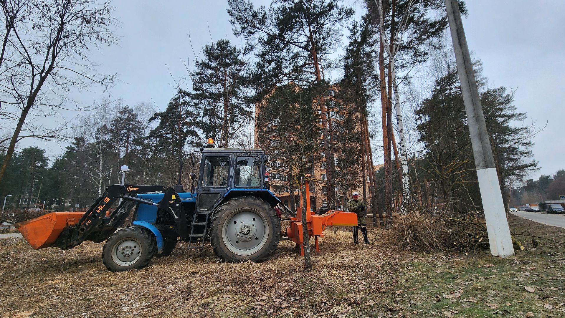благоустройство, порубочные остатки, протвино, вертикалки,