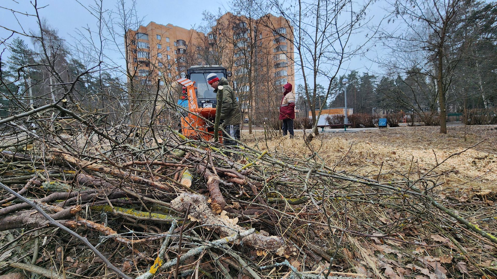 благоустройство, порубочные остатки, протвино, вертикалки,