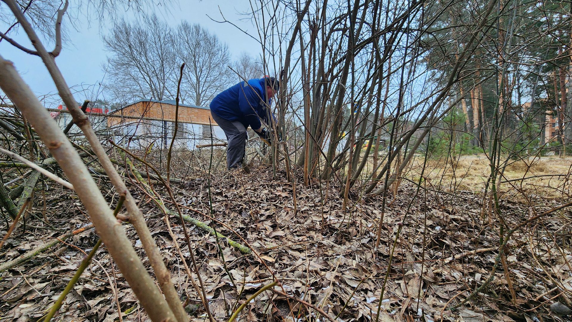 бригада озеленения, комбинат благоустройства, протвино, вертикалки,