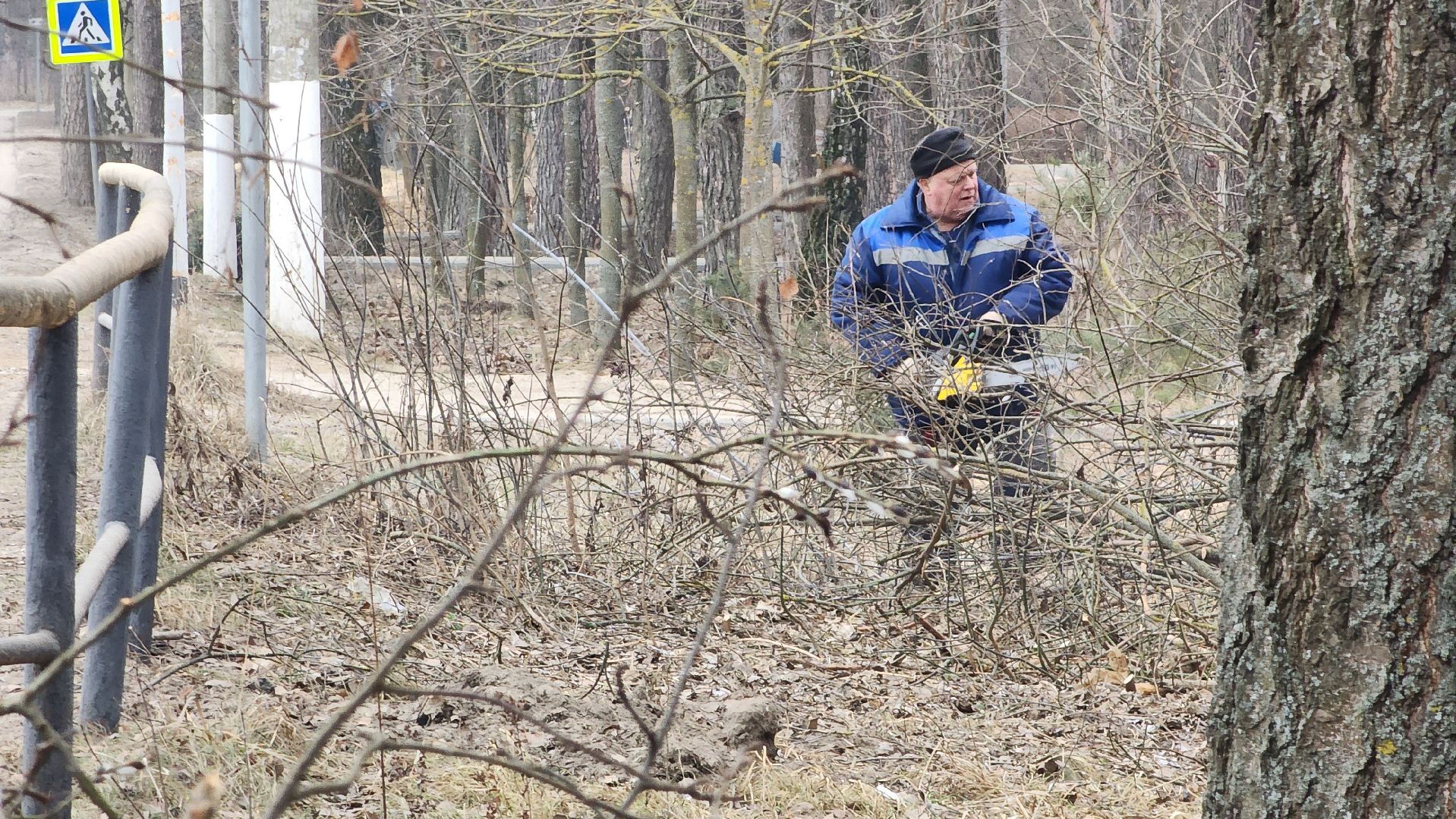 бригада озеленения, комбинат благоустройства, протвино, вертикалки,