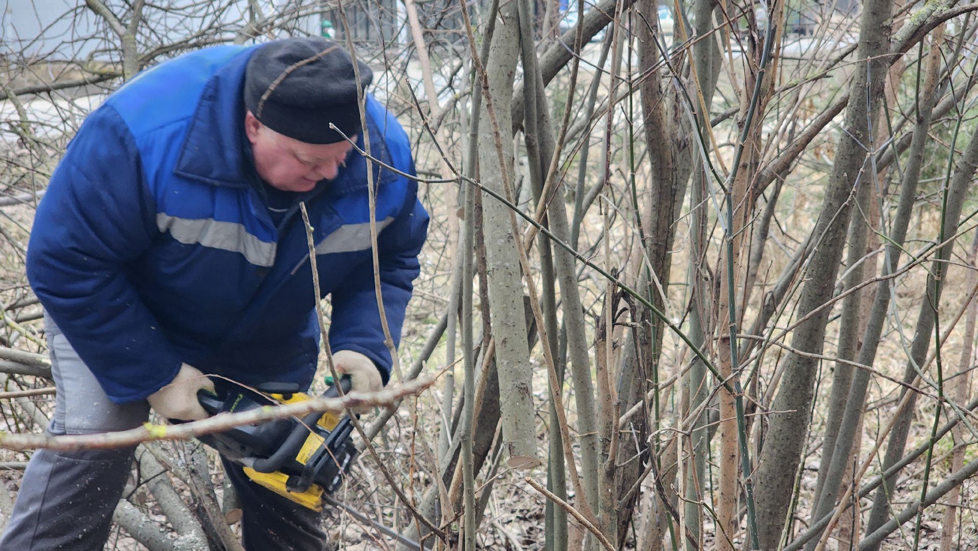 бригада озеленения, комбинат благоустройства, протвино, вертикалки,