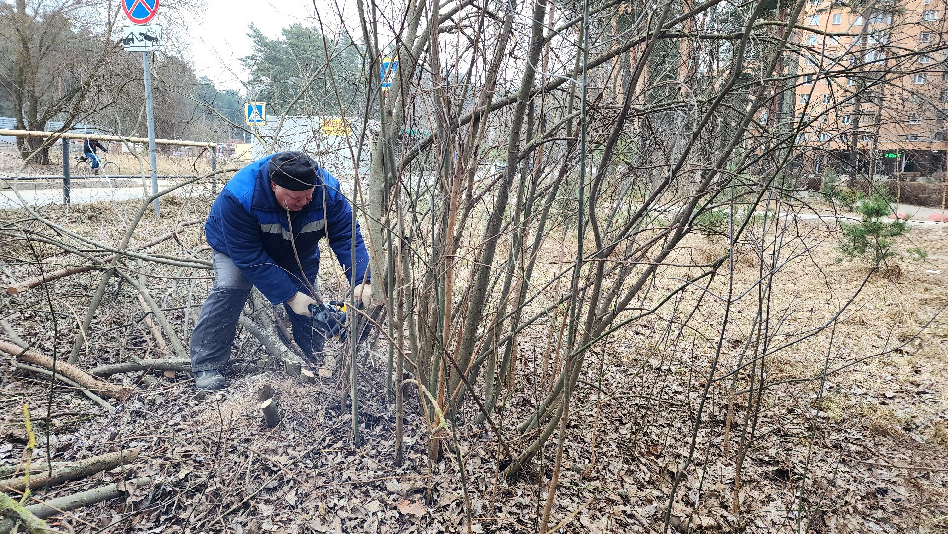 бригада озеленения, комбинат благоустройства, протвино, вертикалки,