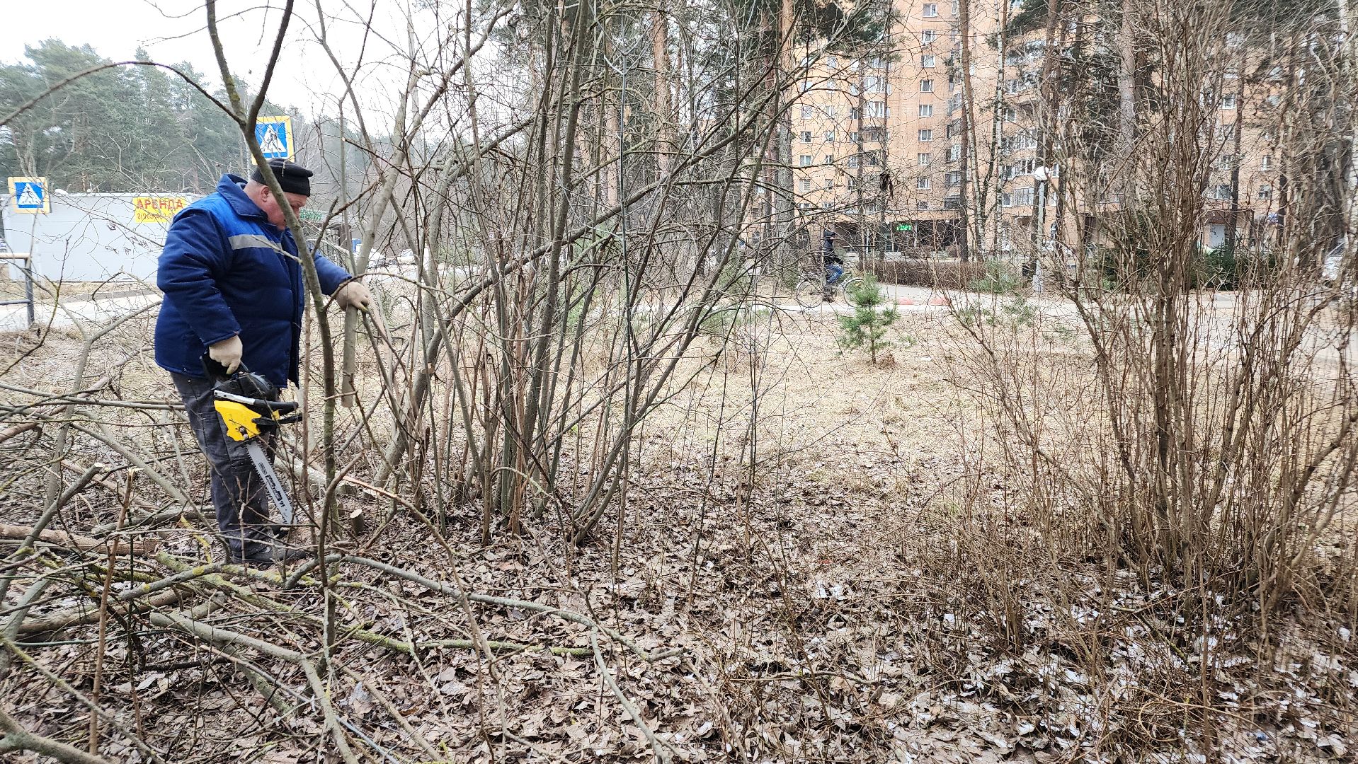 бригада озеленения, комбинат благоустройства, протвино, вертикалки,