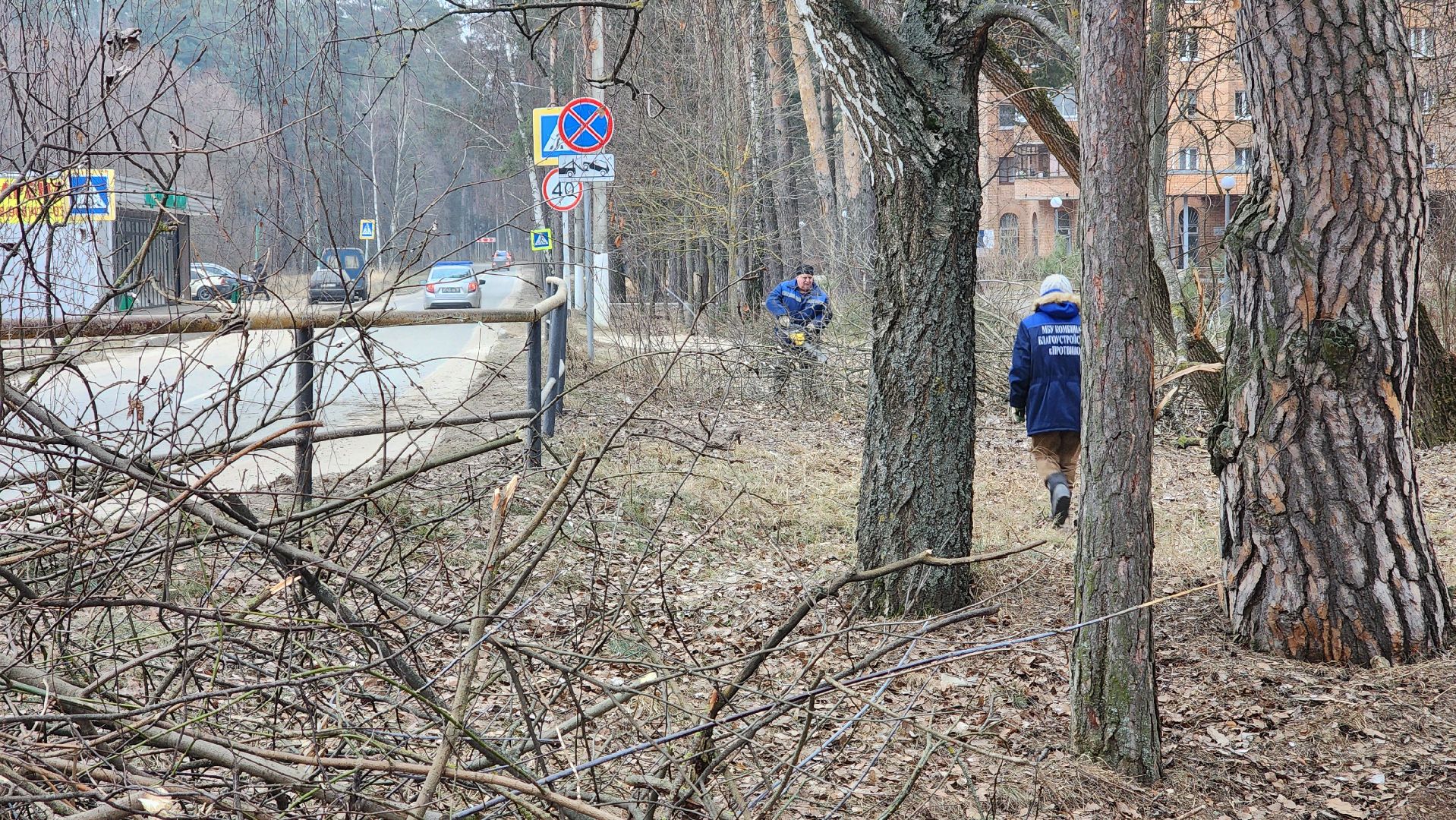 бригада озеленения, комбинат благоустройства, протвино, вертикалки,
