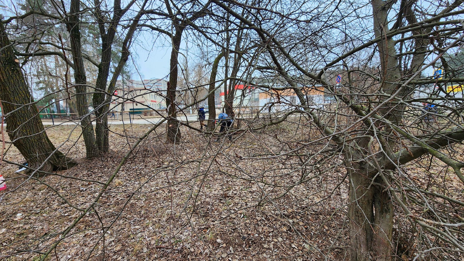 бригада озеленения, комбинат благоустройства, протвино, вертикалки,