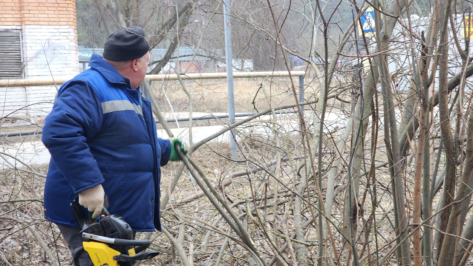 бригада озеленения, комбинат благоустройства, протвино, вертикалки,