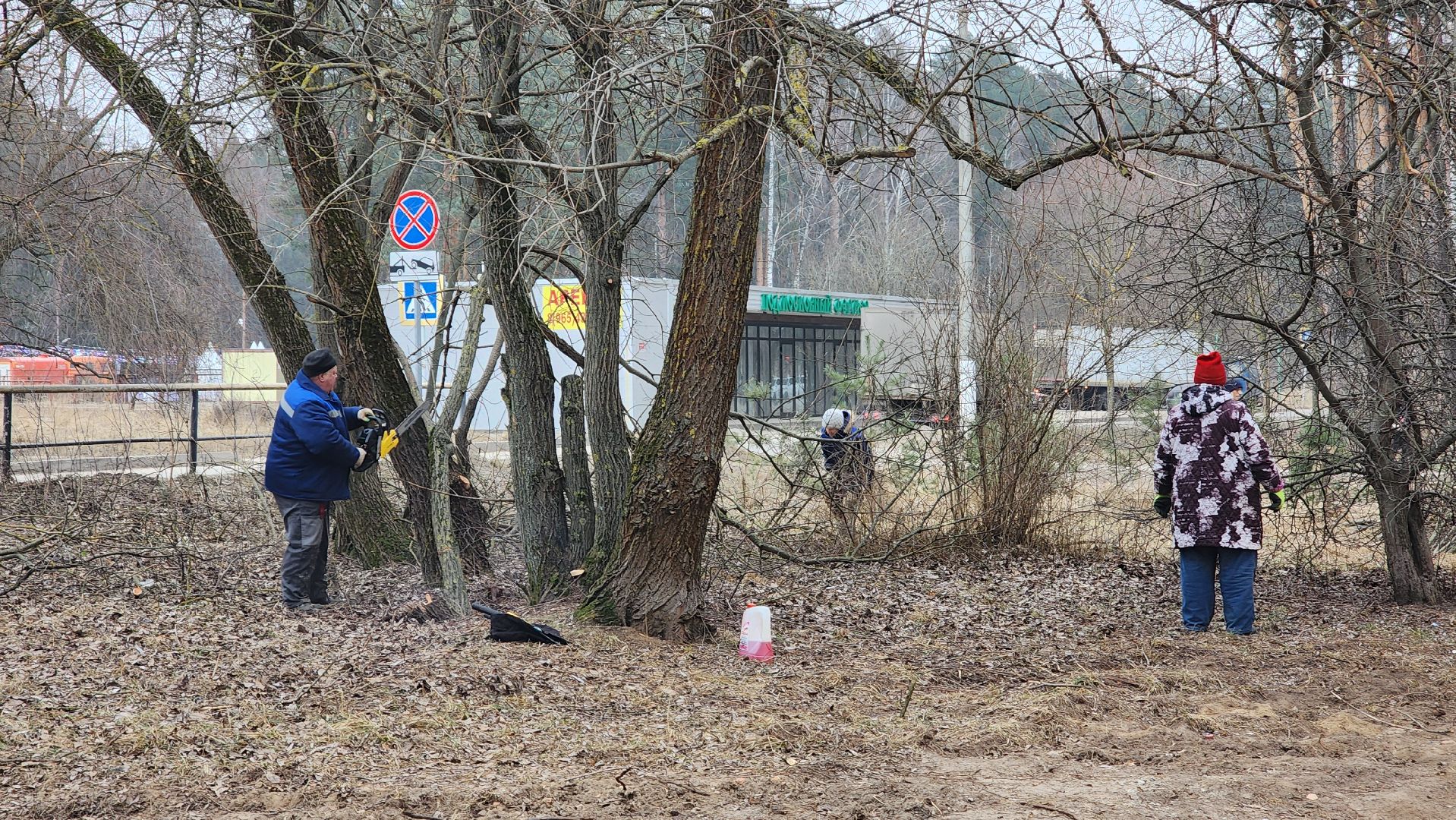 бригада озеленения, комбинат благоустройства, протвино, вертикалки,