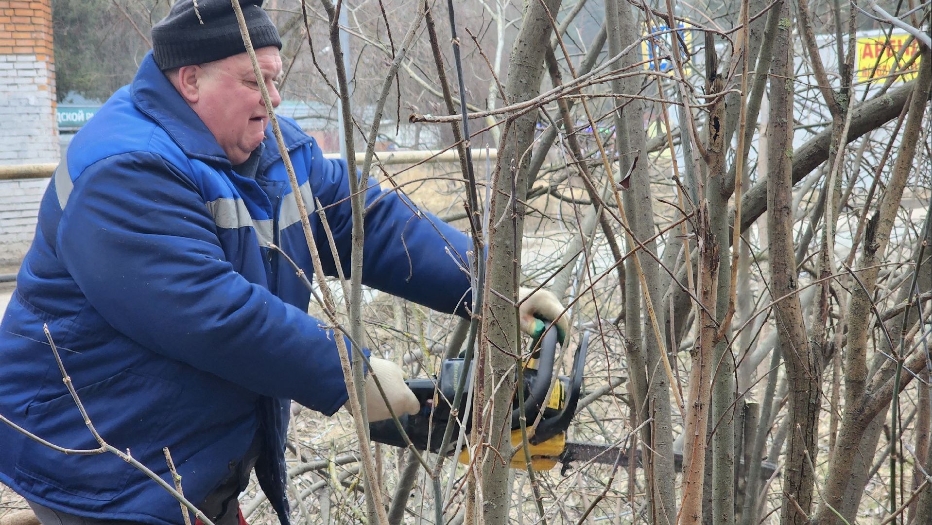 бригада озеленения, комбинат благоустройства, протвино, вертикалки,