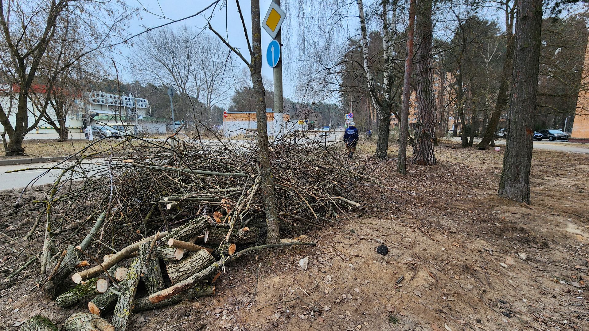 бригада озеленения, комбинат благоустройства, протвино, вертикалки,