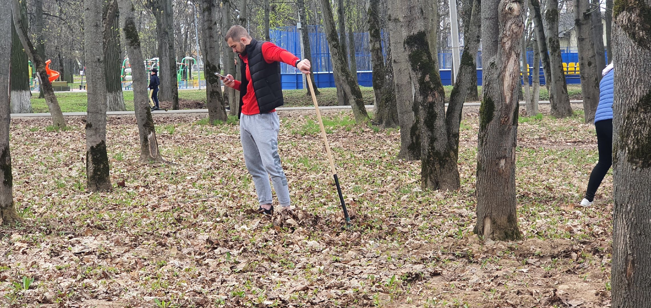 Парки Подмосковья, субботник, Домодедово