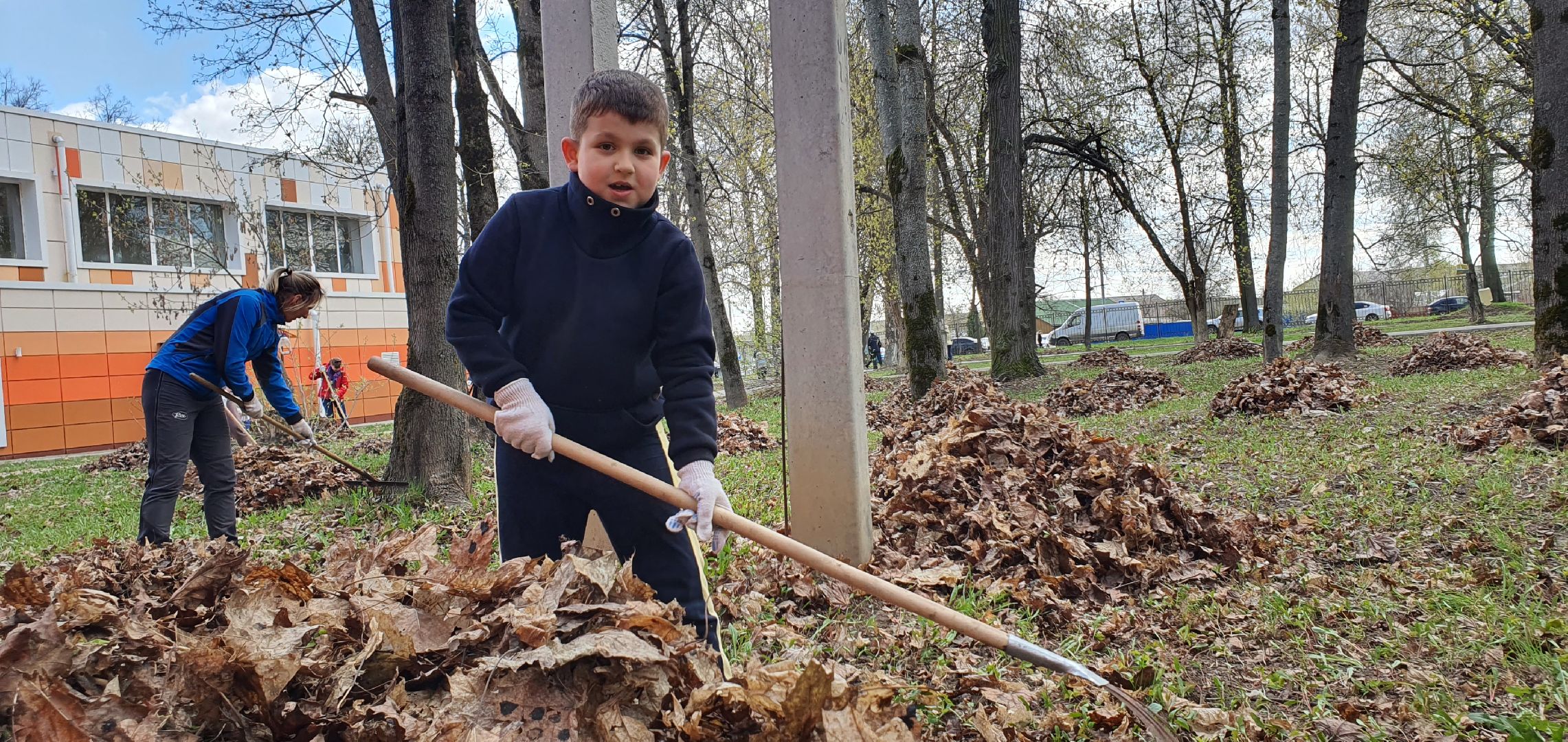 Парки Подмосковья, субботник, Домодедово