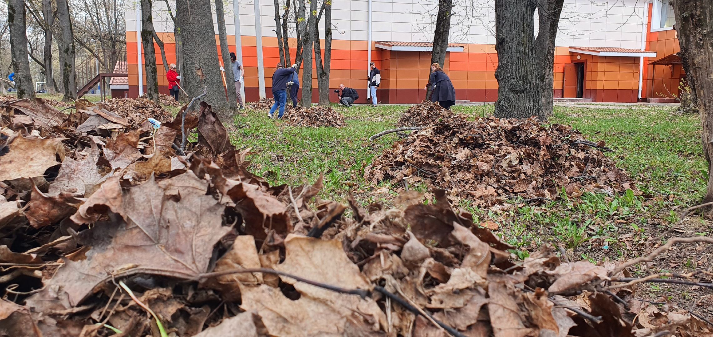 Парки Подмосковья, субботник, Домодедово