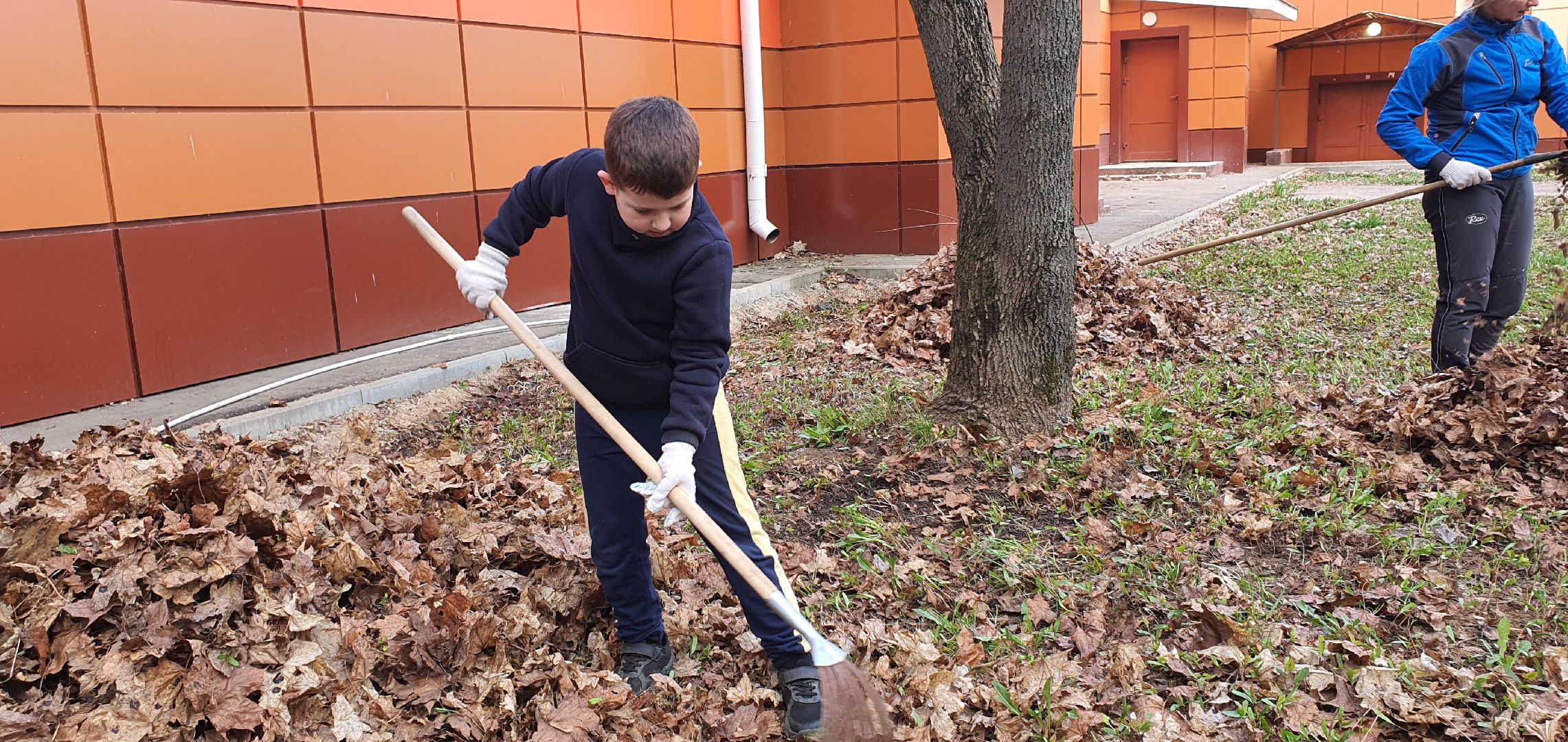 Парки Подмосковья, субботник, Домодедово