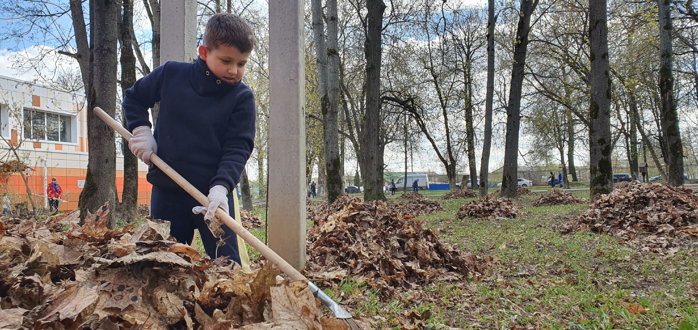 Парки Подмосковья, субботник, Домодедово
