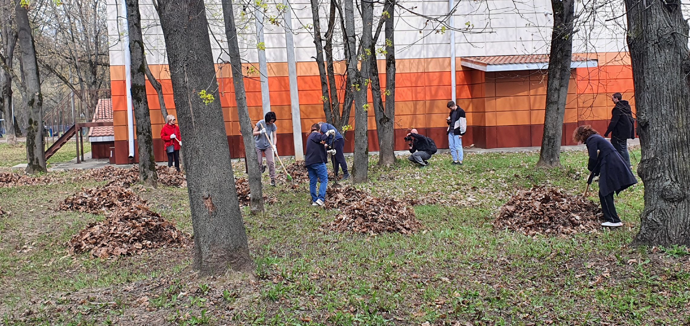 Парки Подмосковья, субботник, Домодедово