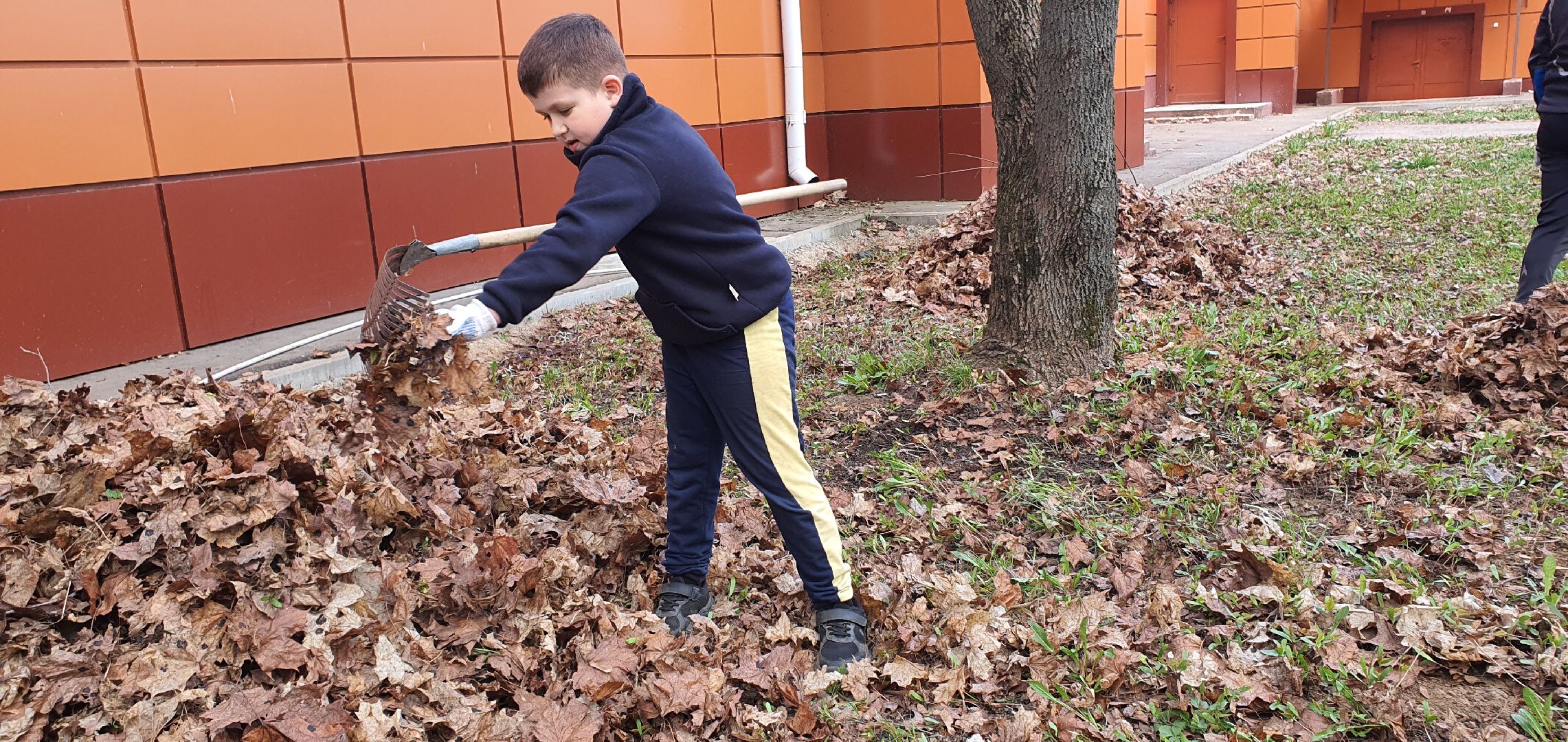 Парки Подмосковья, субботник, Домодедово