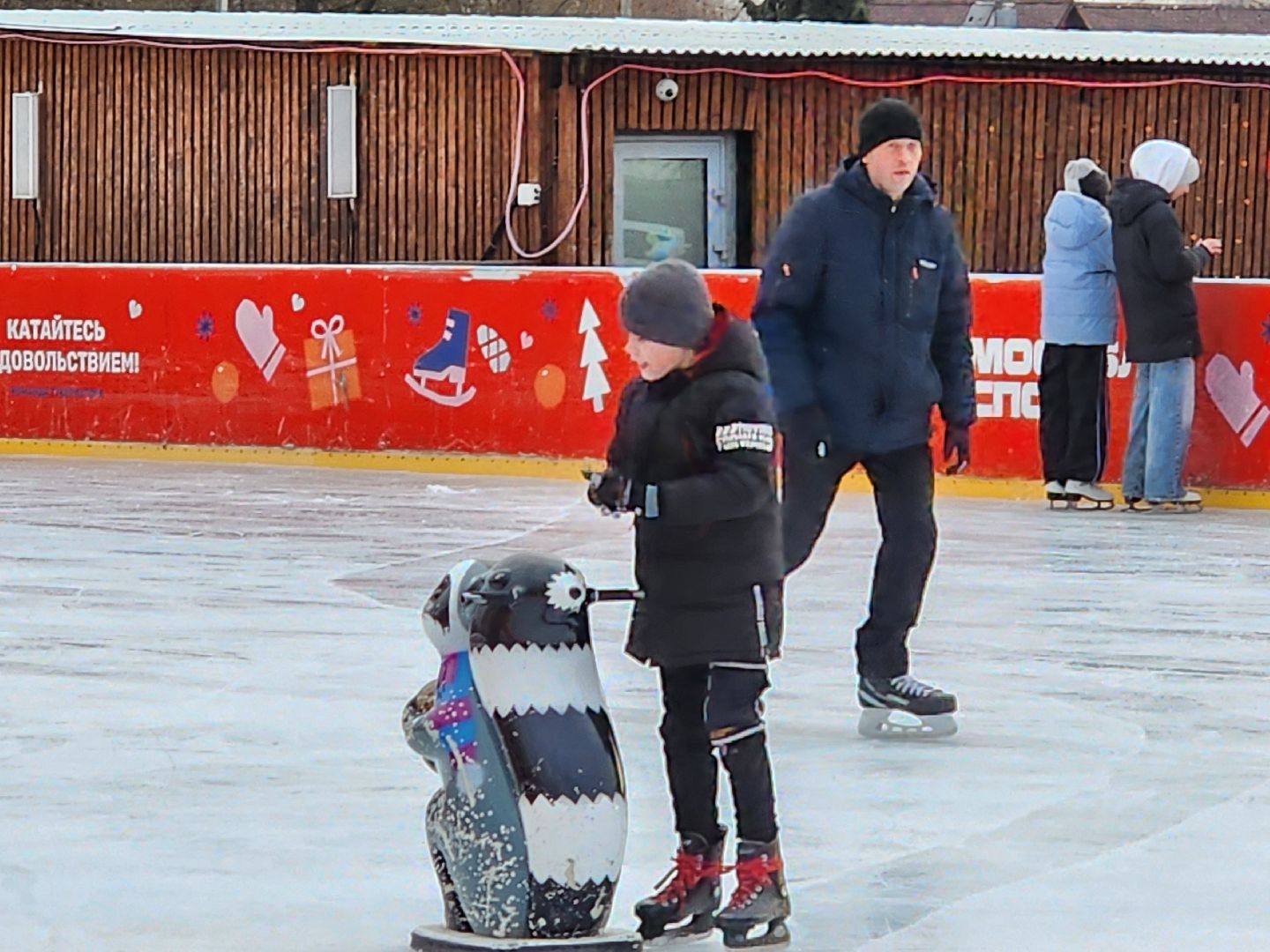 Чехов, Советская площадь 3, открытый ледовый каток, бесплатный каток, катание на коньках, сеансы, график работы, прокат коньков, проект зима в подмосковье, губернатор московской области,