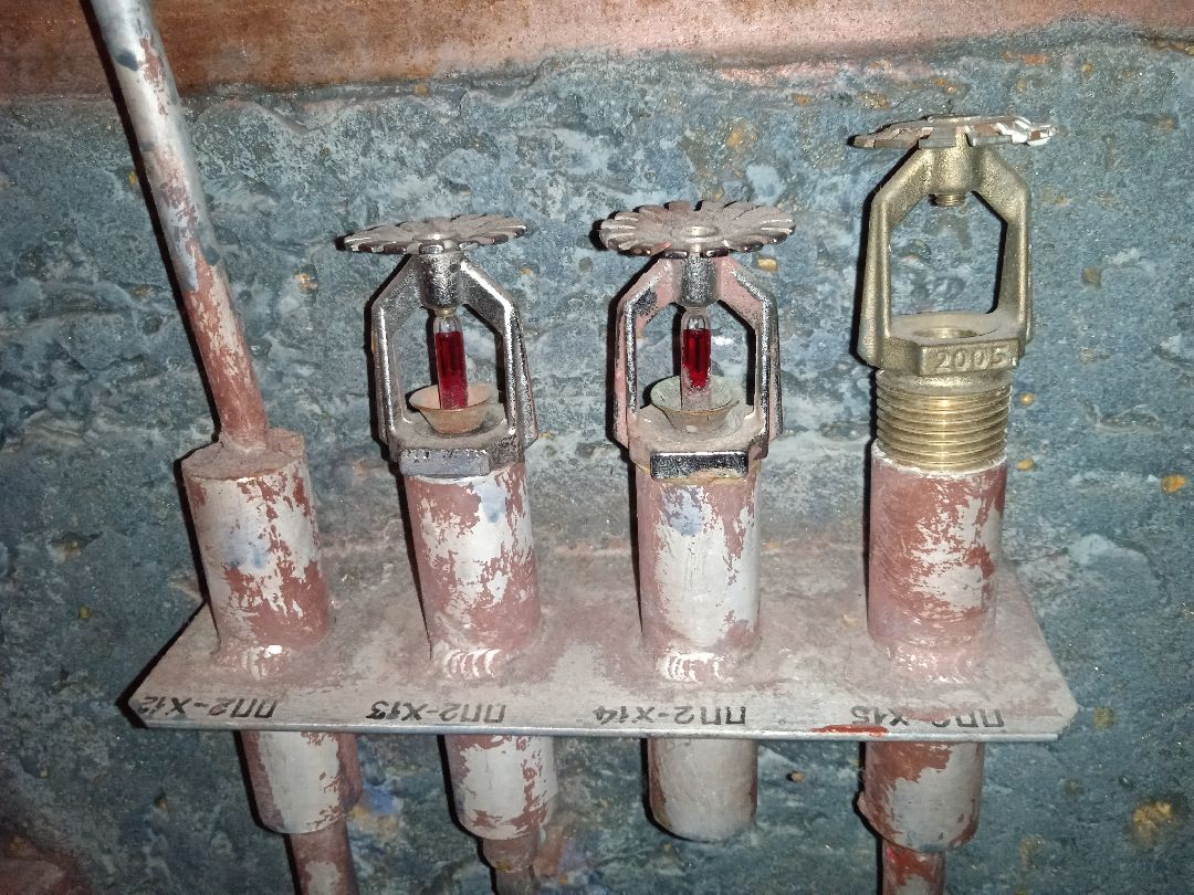 Жуковский, общество