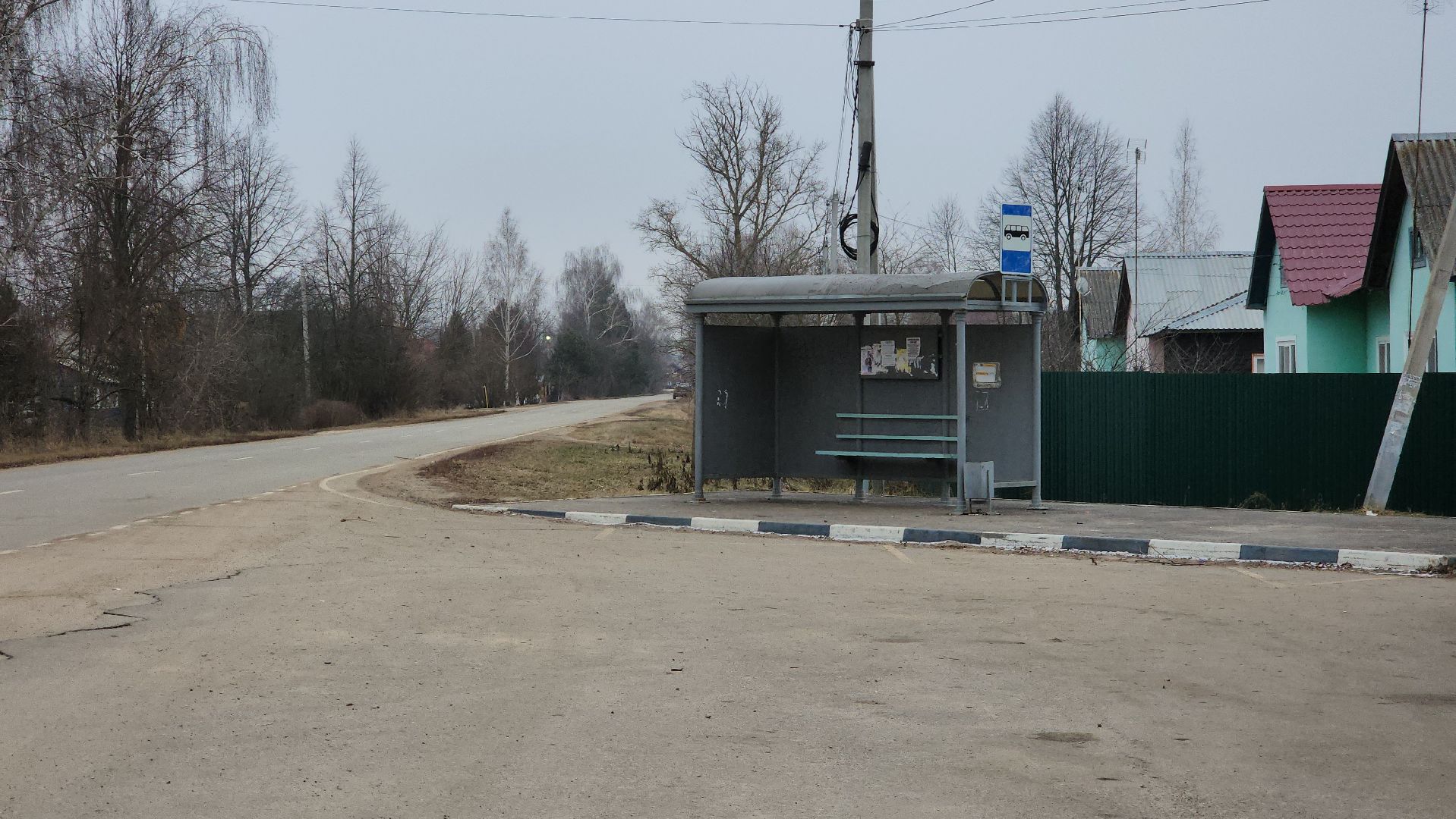 ступино, выездная администрация, бродячие собаки,