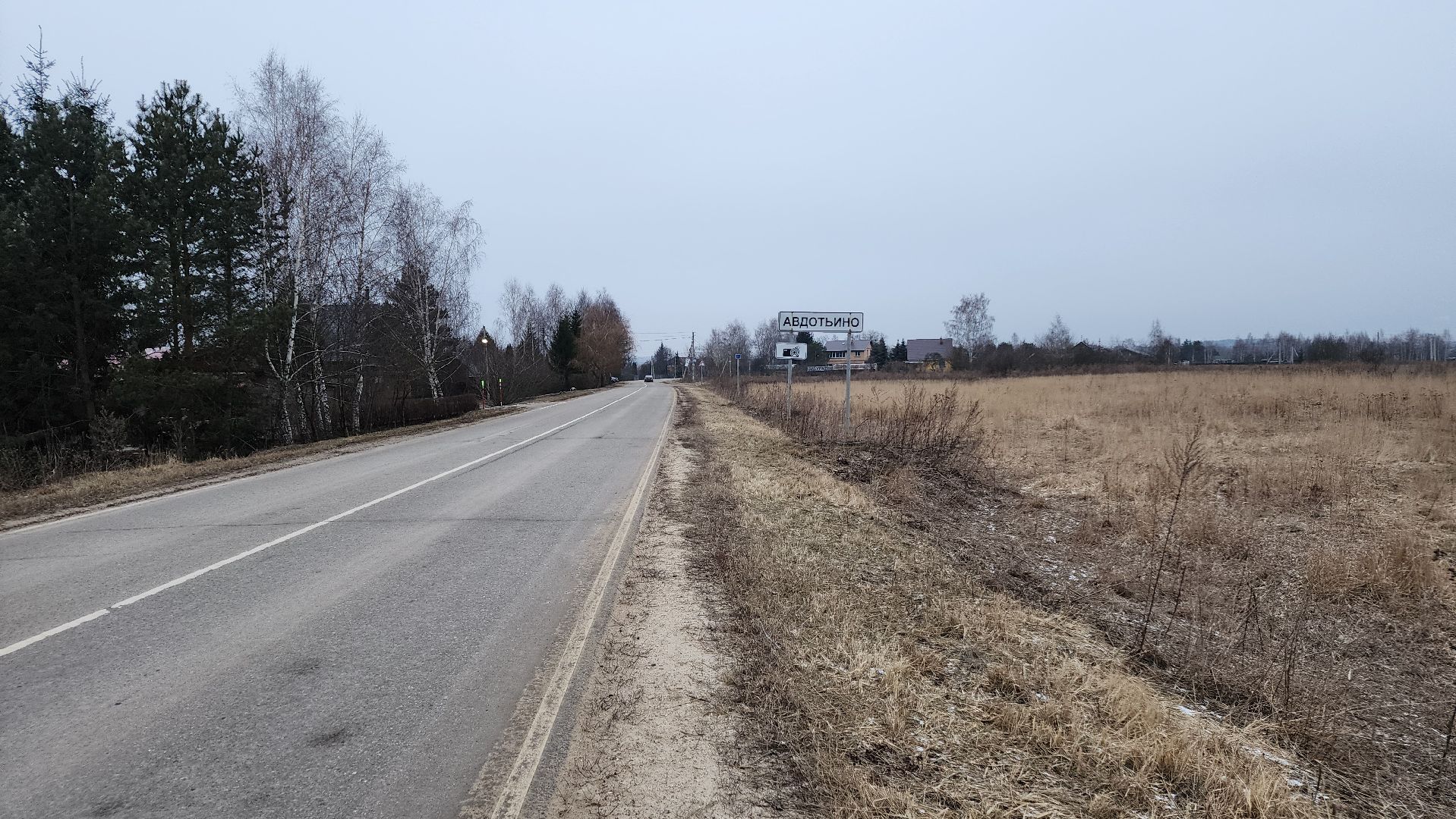 ступино, выездная администрация, бродячие собаки,