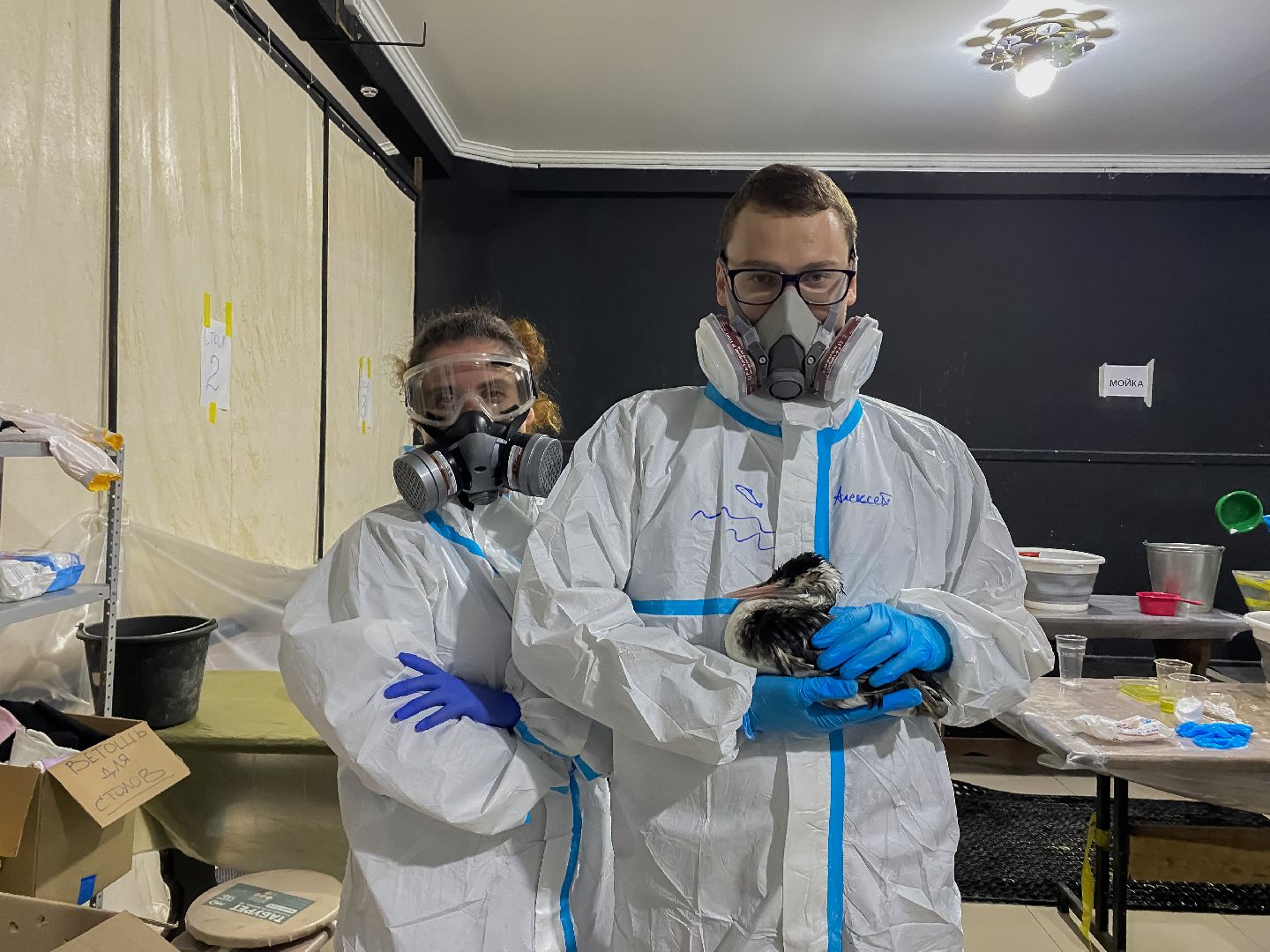 Коломна, молодая гвардия подмосковья, черное море,