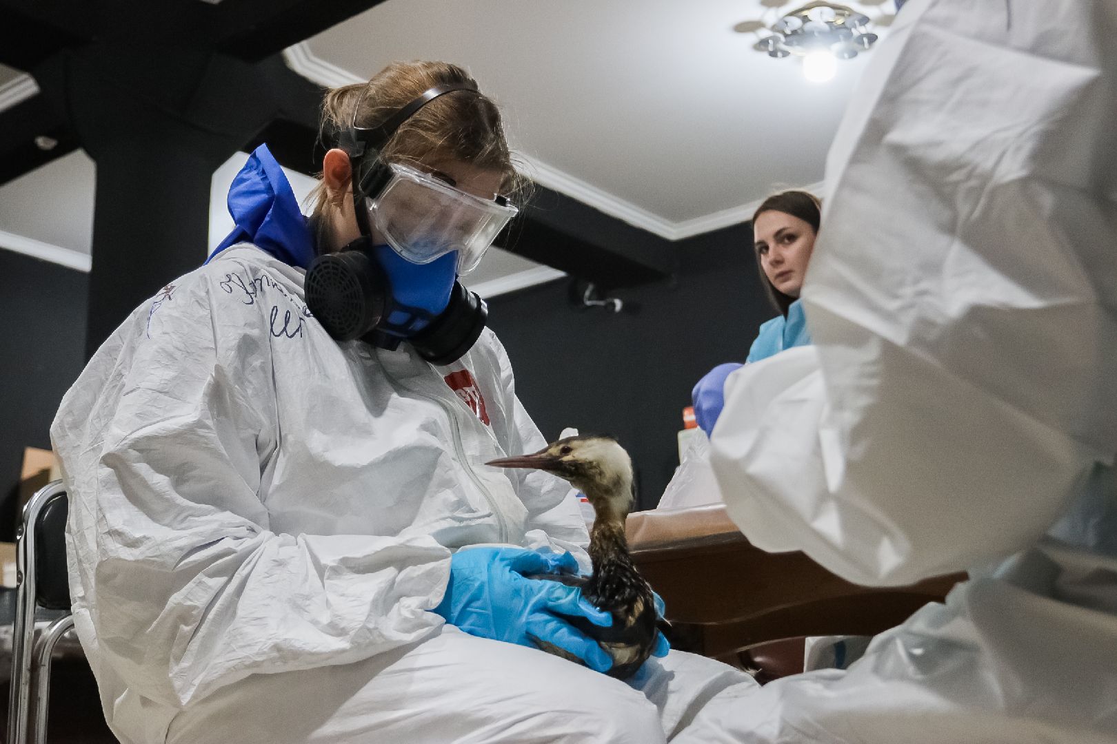 Коломна, молодая гвардия подмосковья, черное море,