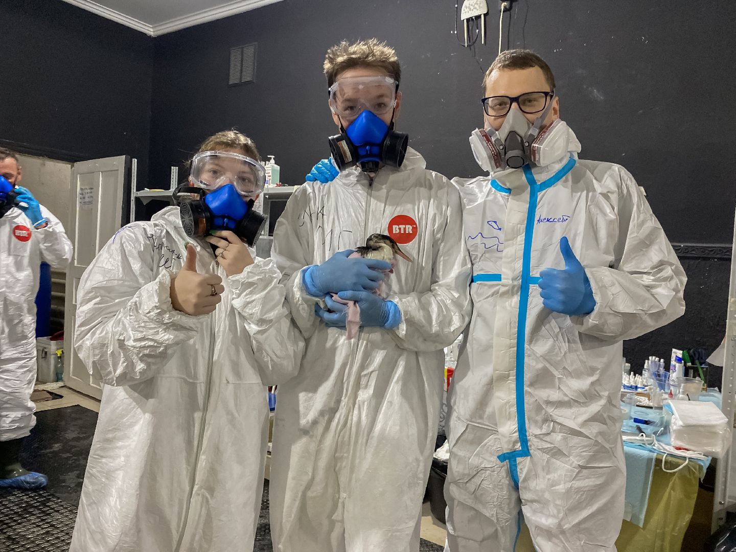 Коломна, молодая гвардия подмосковья, черное море,