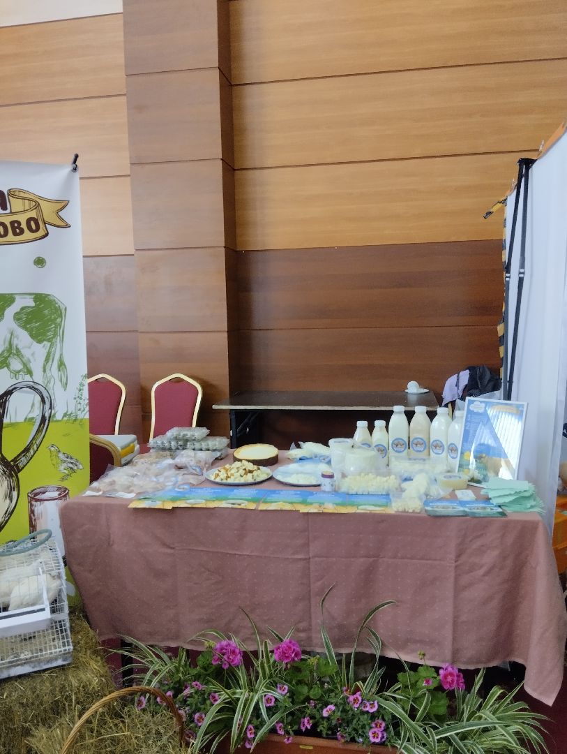 Союз промышленников и предпринимателей, Ногинская торгово-промышленная палата, Ногинск, природный курорт