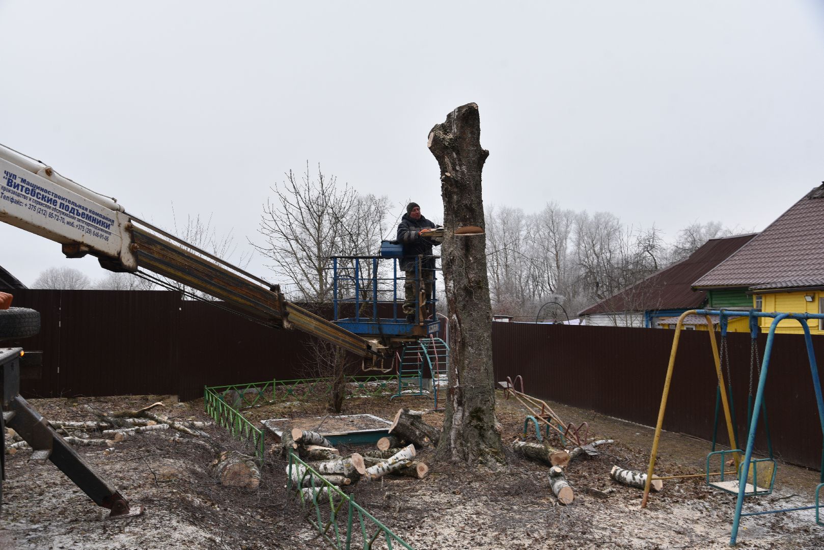 лотошино, добродел, обращение жителей, благоустройство, спил деревьев,