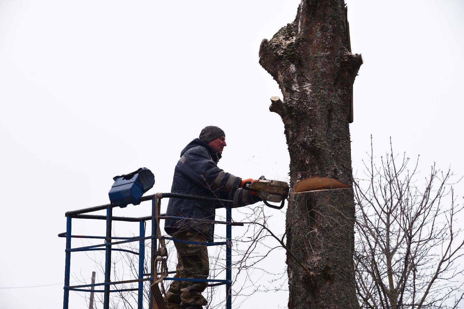 лотошино, добродел, обращение жителей, благоустройство, спил деревьев,