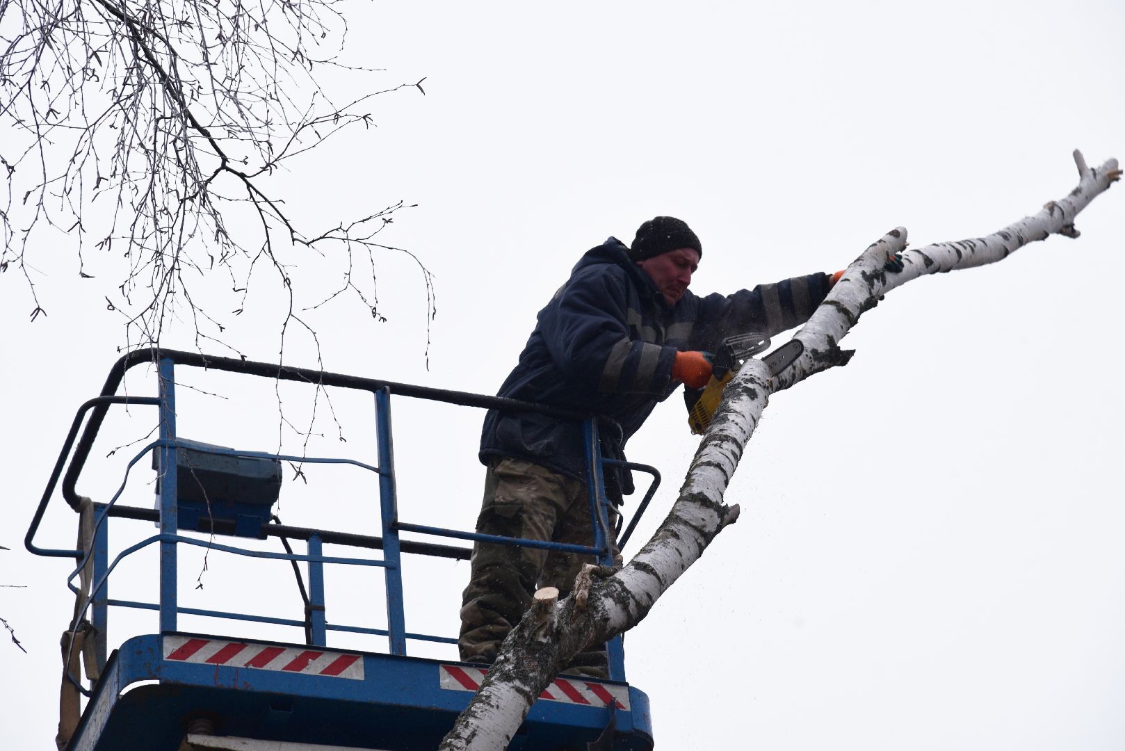 лотошино, добродел, обращение жителей, благоустройство, спил деревьев,