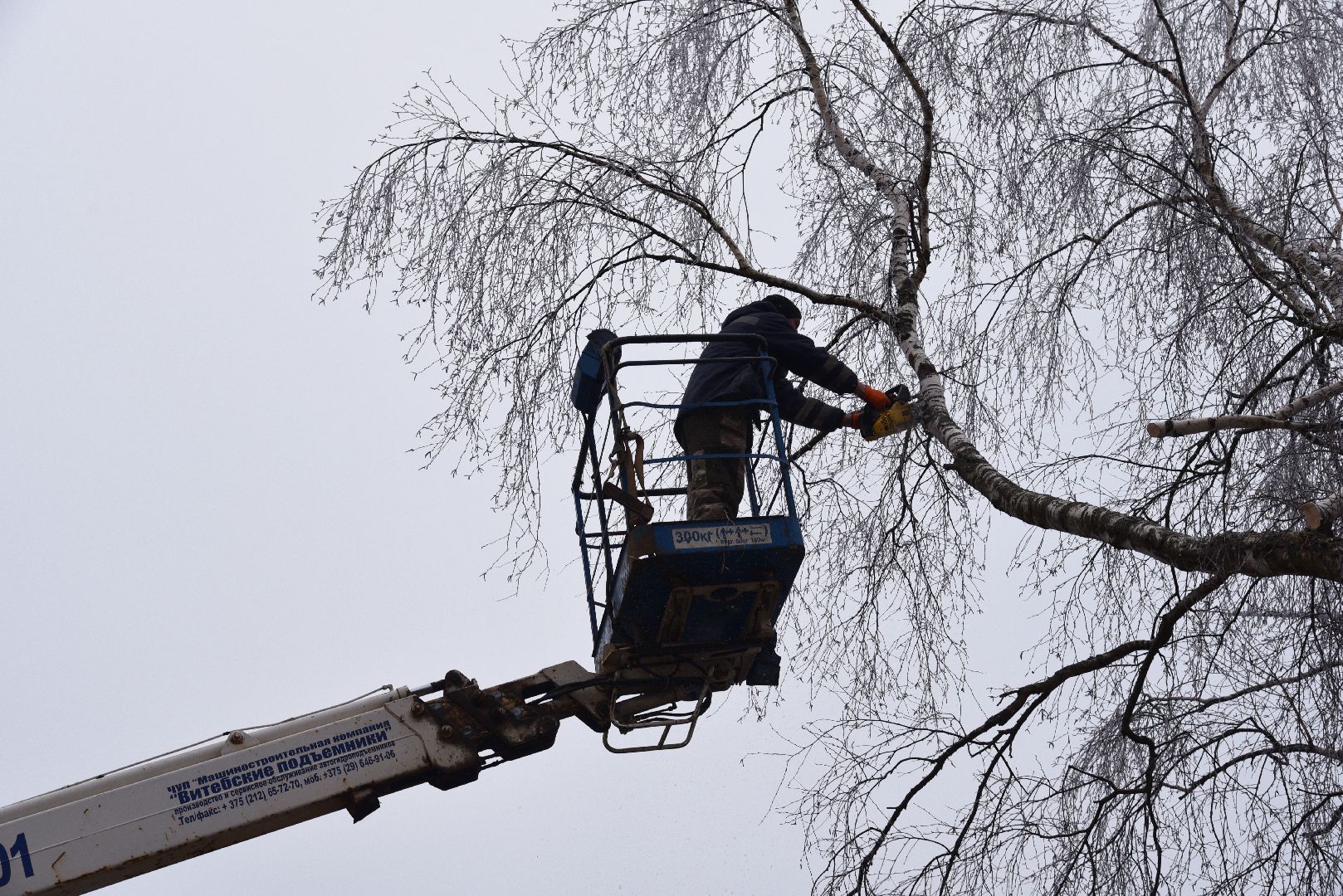лотошино, добродел, обращение жителей, благоустройство, спил деревьев,