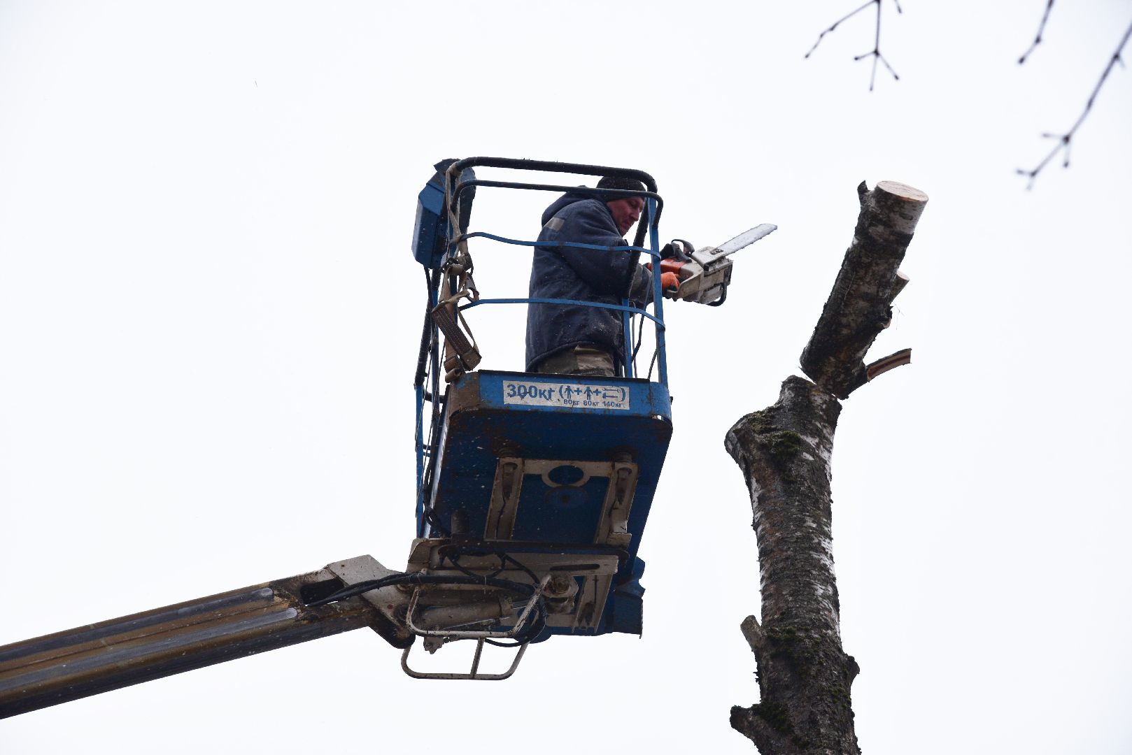 лотошино, добродел, обращение жителей, благоустройство, спил деревьев,