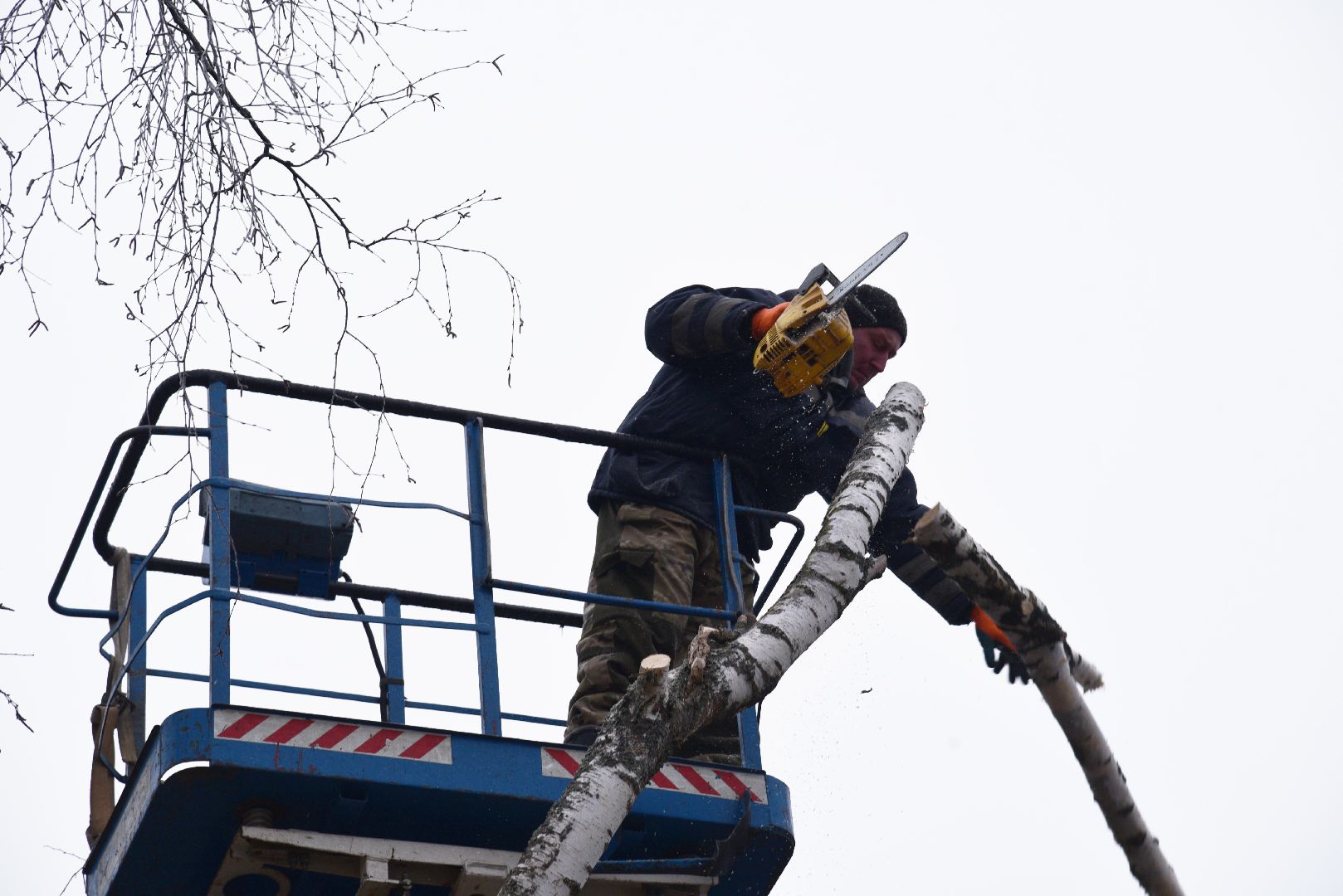 лотошино, добродел, обращение жителей, благоустройство, спил деревьев,