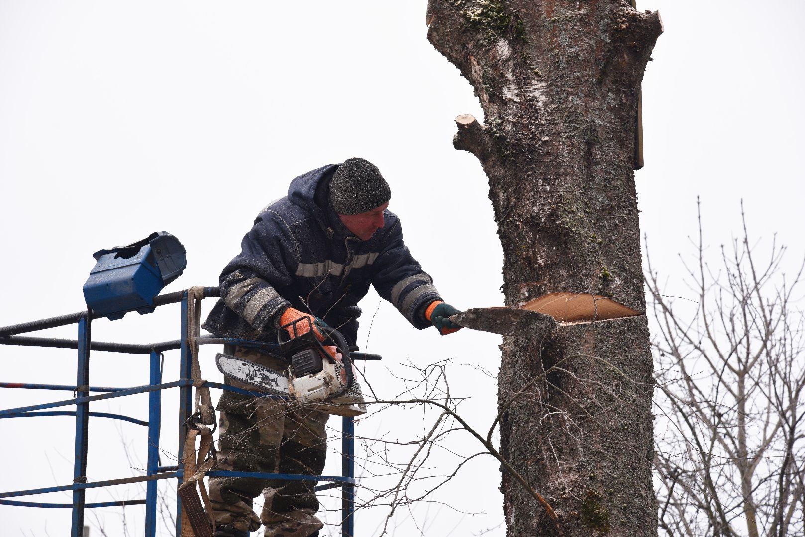 лотошино, добродел, обращение жителей, благоустройство, спил деревьев,