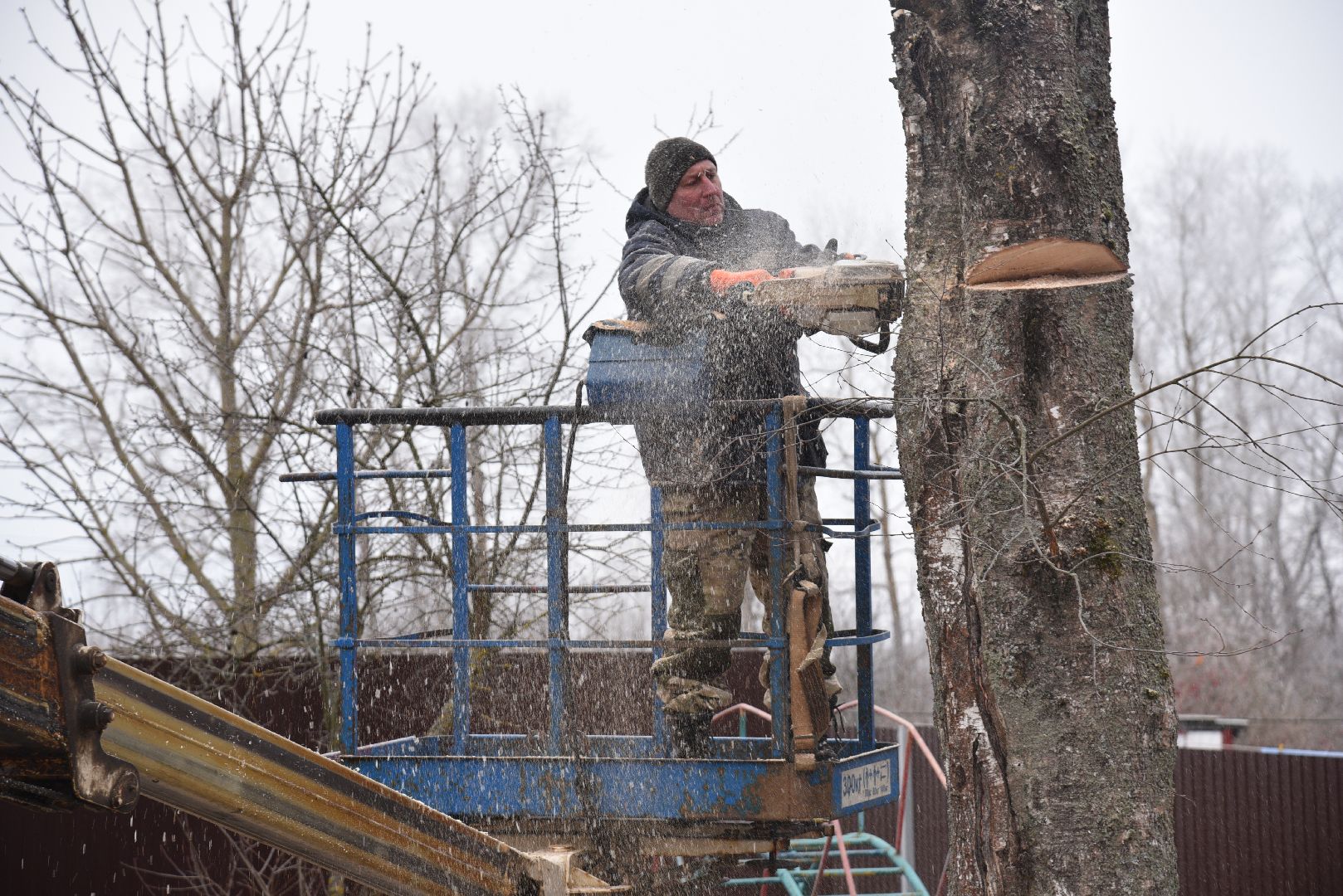 лотошино, добродел, обращение жителей, благоустройство, спил деревьев,
