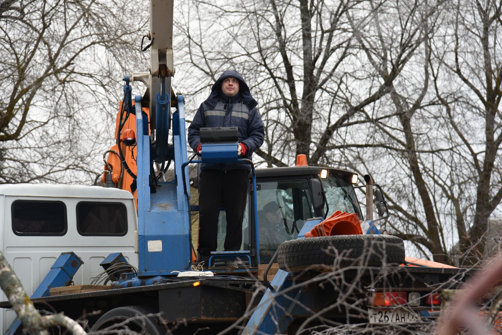 лотошино, добродел, обращение жителей, благоустройство, спил деревьев,