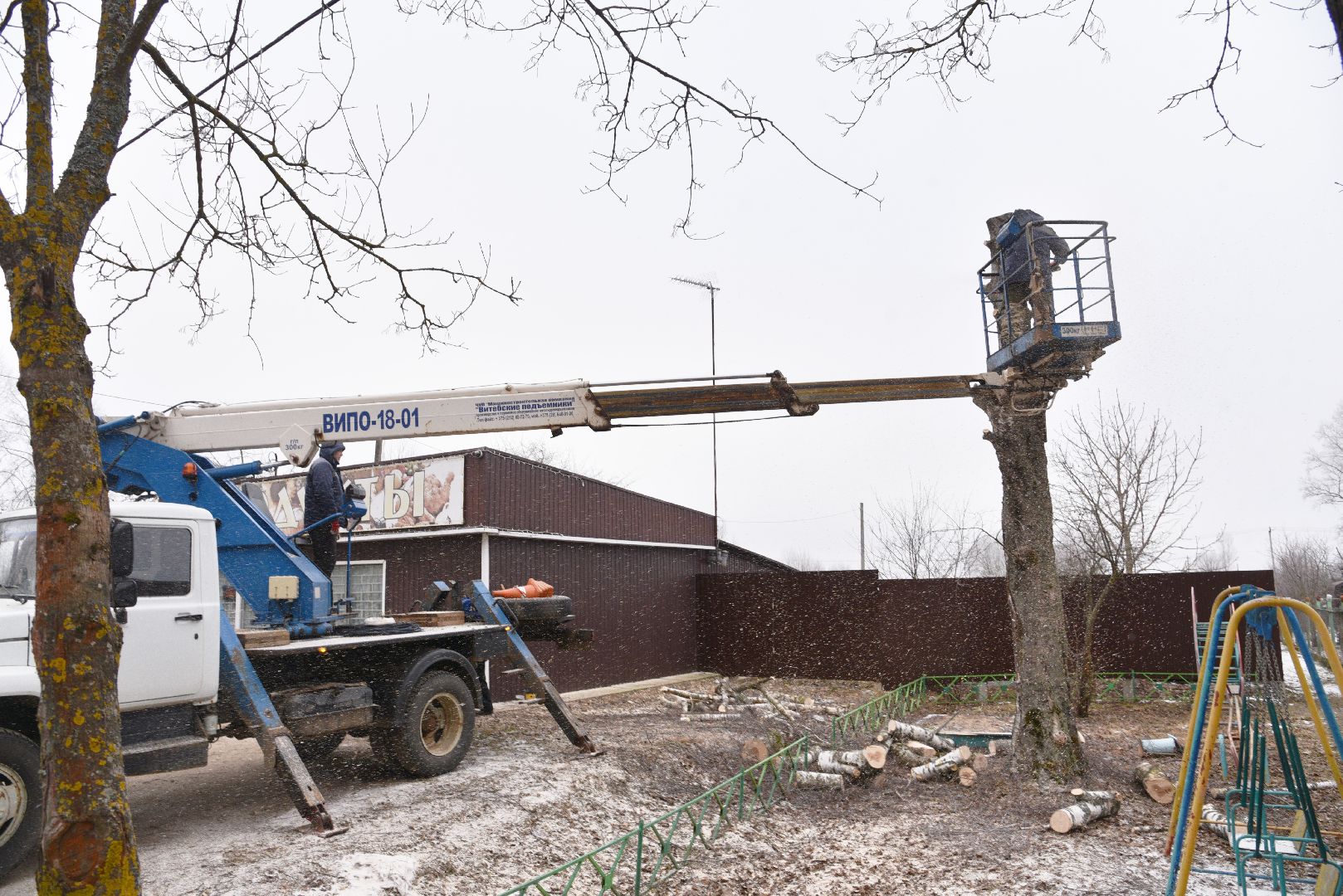 лотошино, добродел, обращение жителей, благоустройство, спил деревьев,