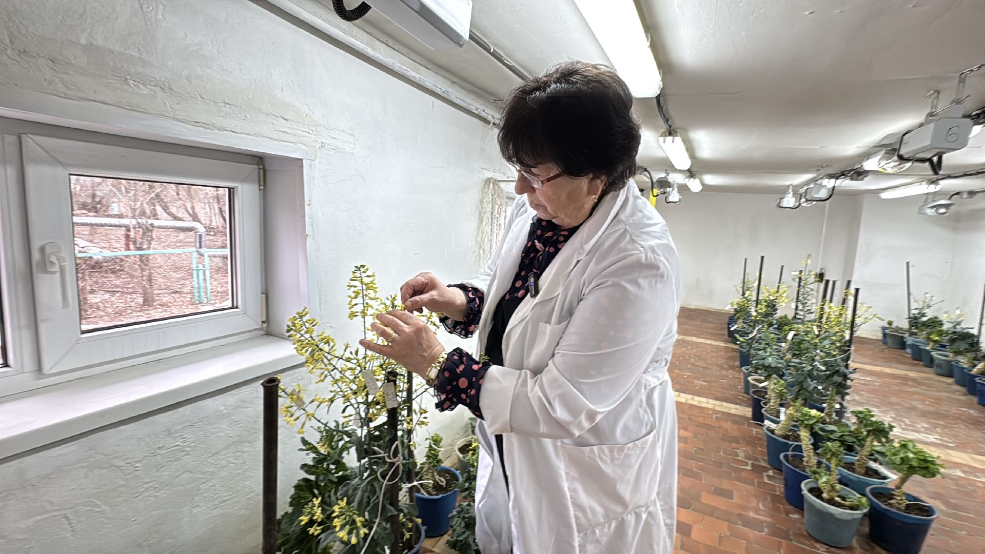 Женщины в науке, Федеральный научный центр овощеводства, Одинцово, Наука, вертикалки,