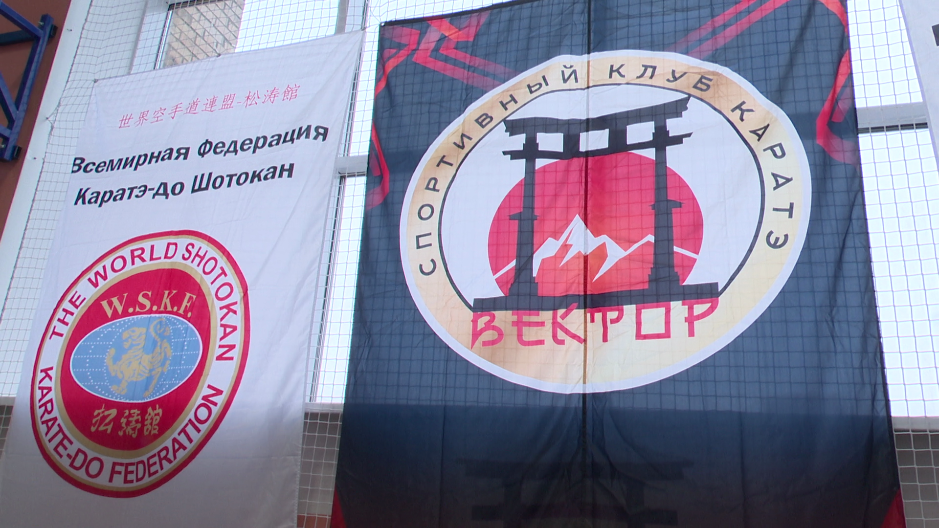 реутов, вертикалки, спорт, карате, турнир,