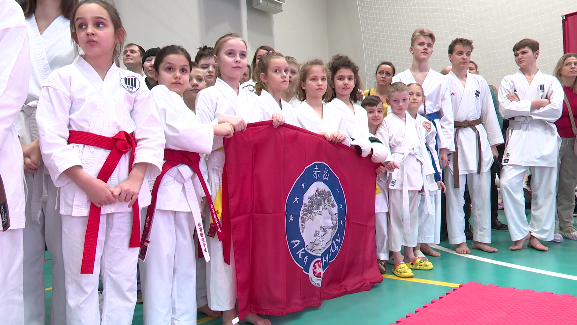 реутов, вертикалки, спорт, карате, турнир,