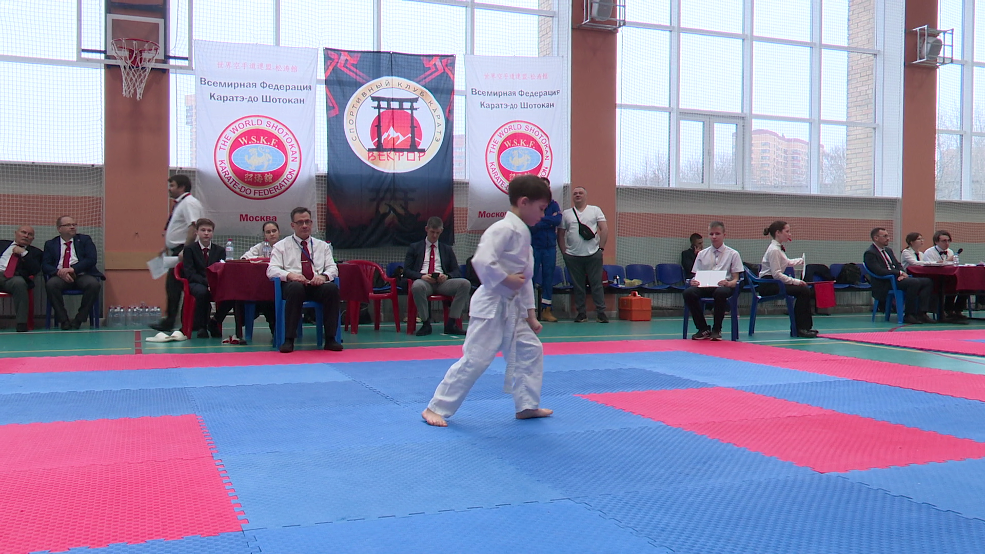 реутов, вертикалки, спорт, карате, турнир,