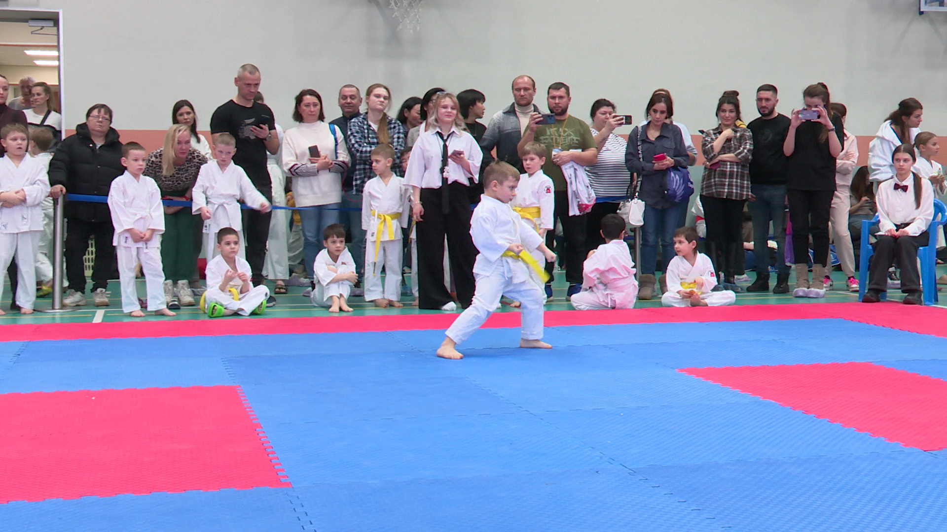 реутов, вертикалки, спорт, карате, турнир,