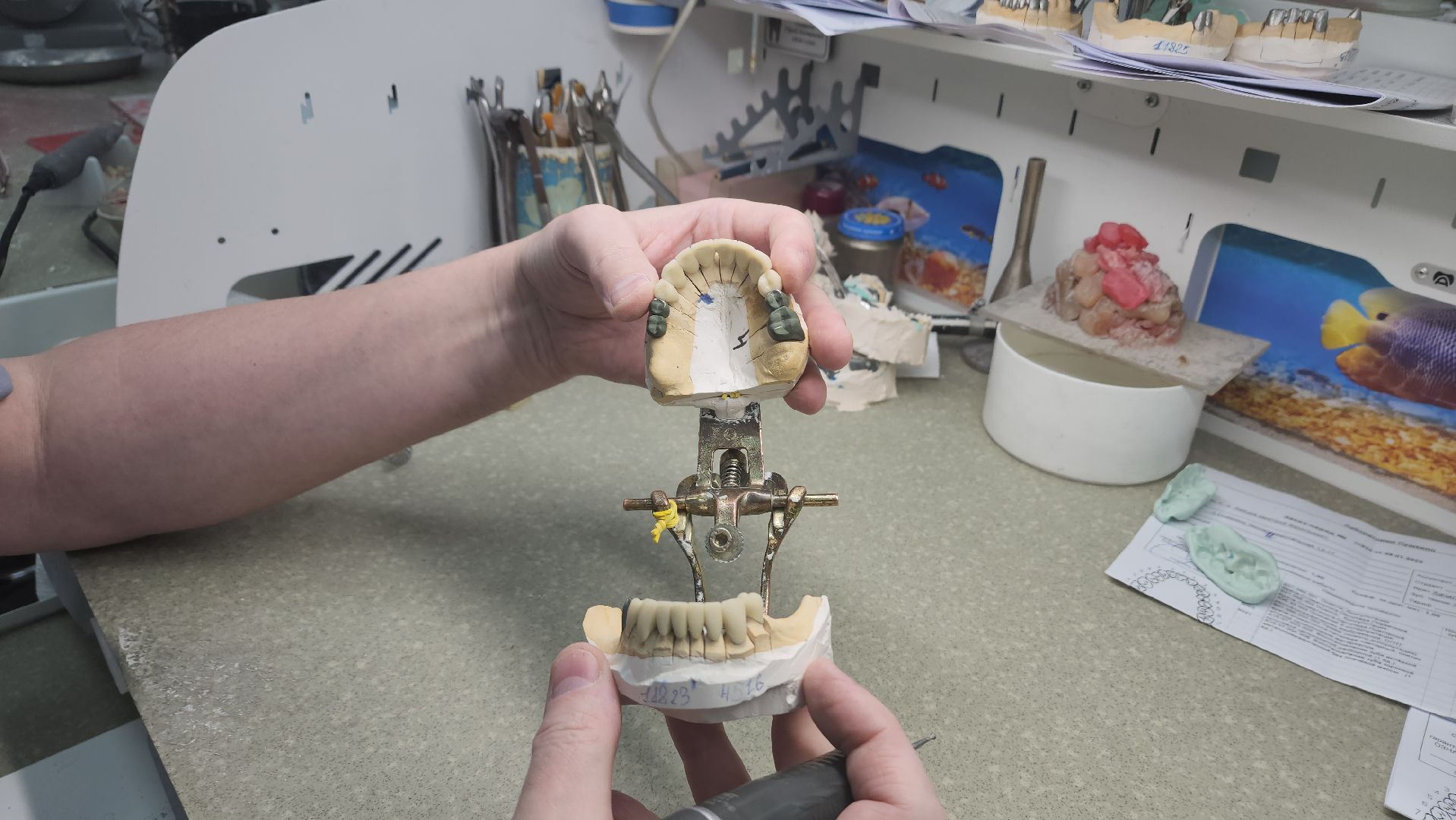 вертикалки, пушкино,люди, стоматология,мастерство,специалист,биография,профессионализм,