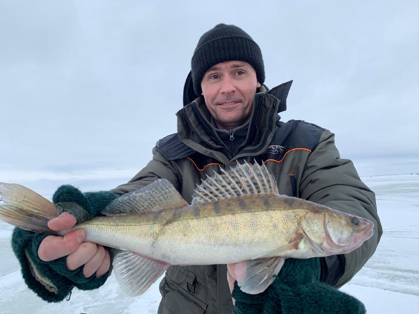 вертикалки, пушкино,люди, стоматология,мастерство,специалист,биография,профессионализм,