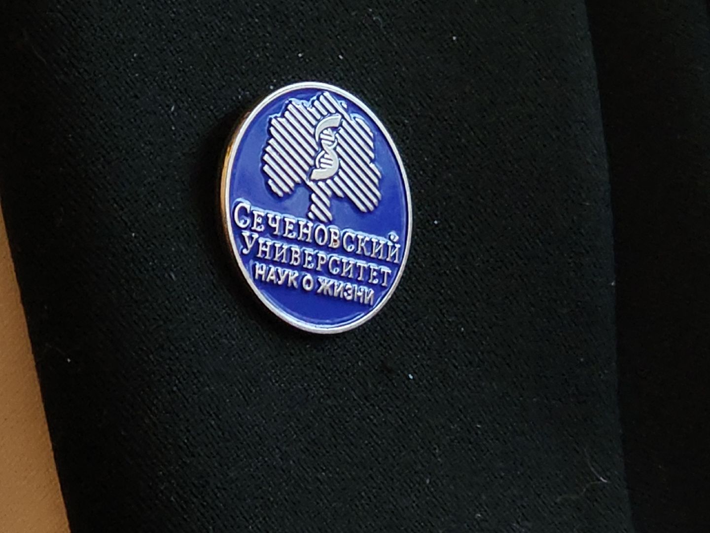 вертикалки, павловский посад, вертикалка, наука, праздник,