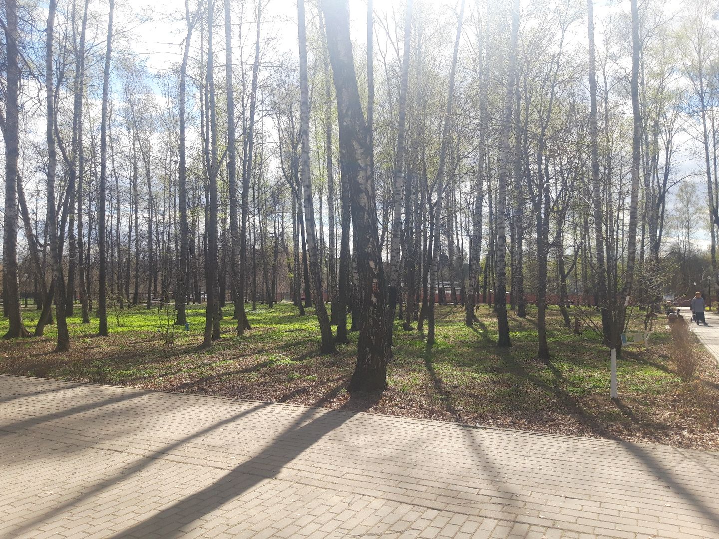 доброе дело, субботник,