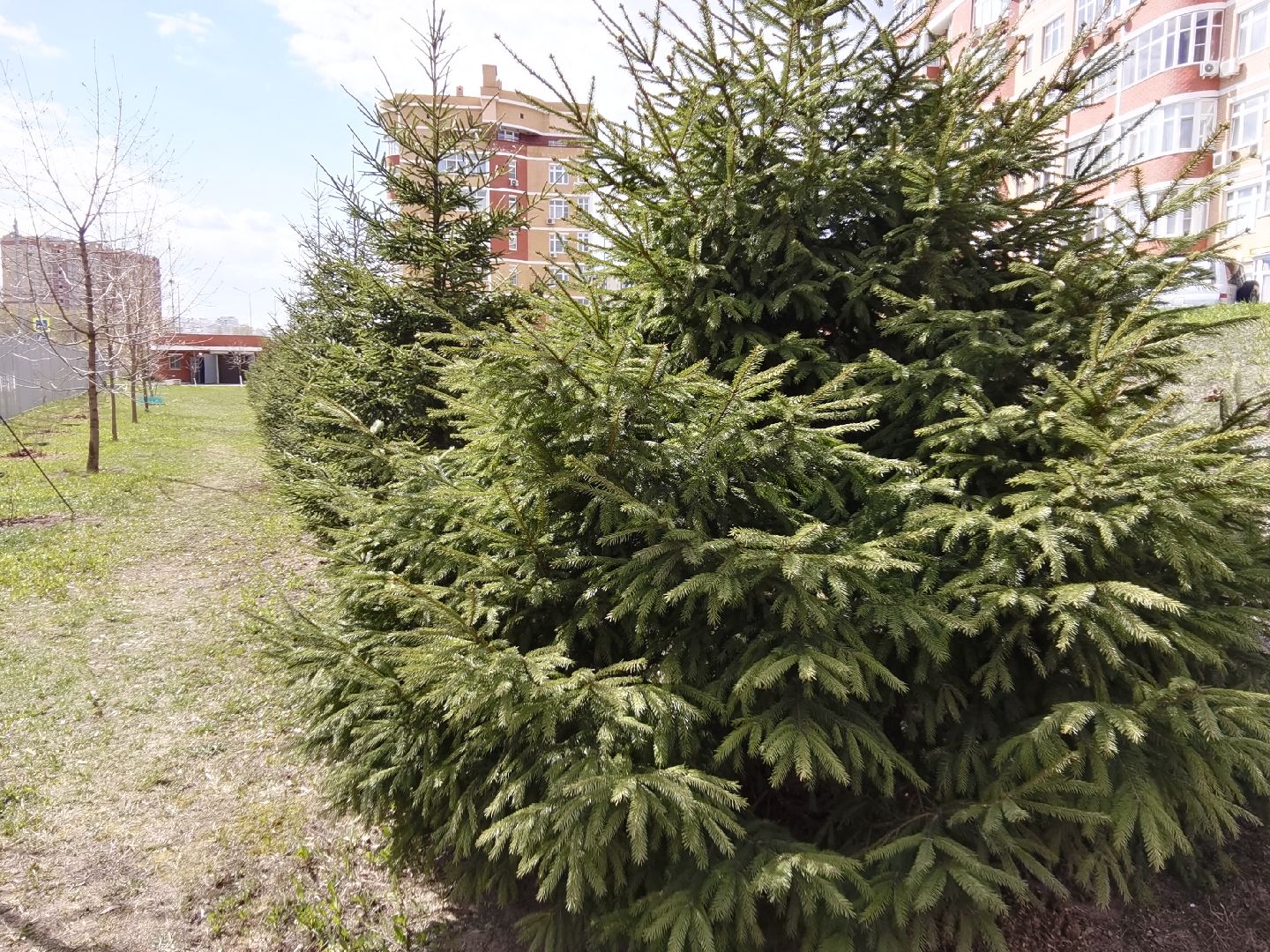 Балашиха, субботник, благоустройство, Заречная 43,44, ТСН Любимый дом, придомовая территория, уборка, содержание и эксплуатация жилых зданий