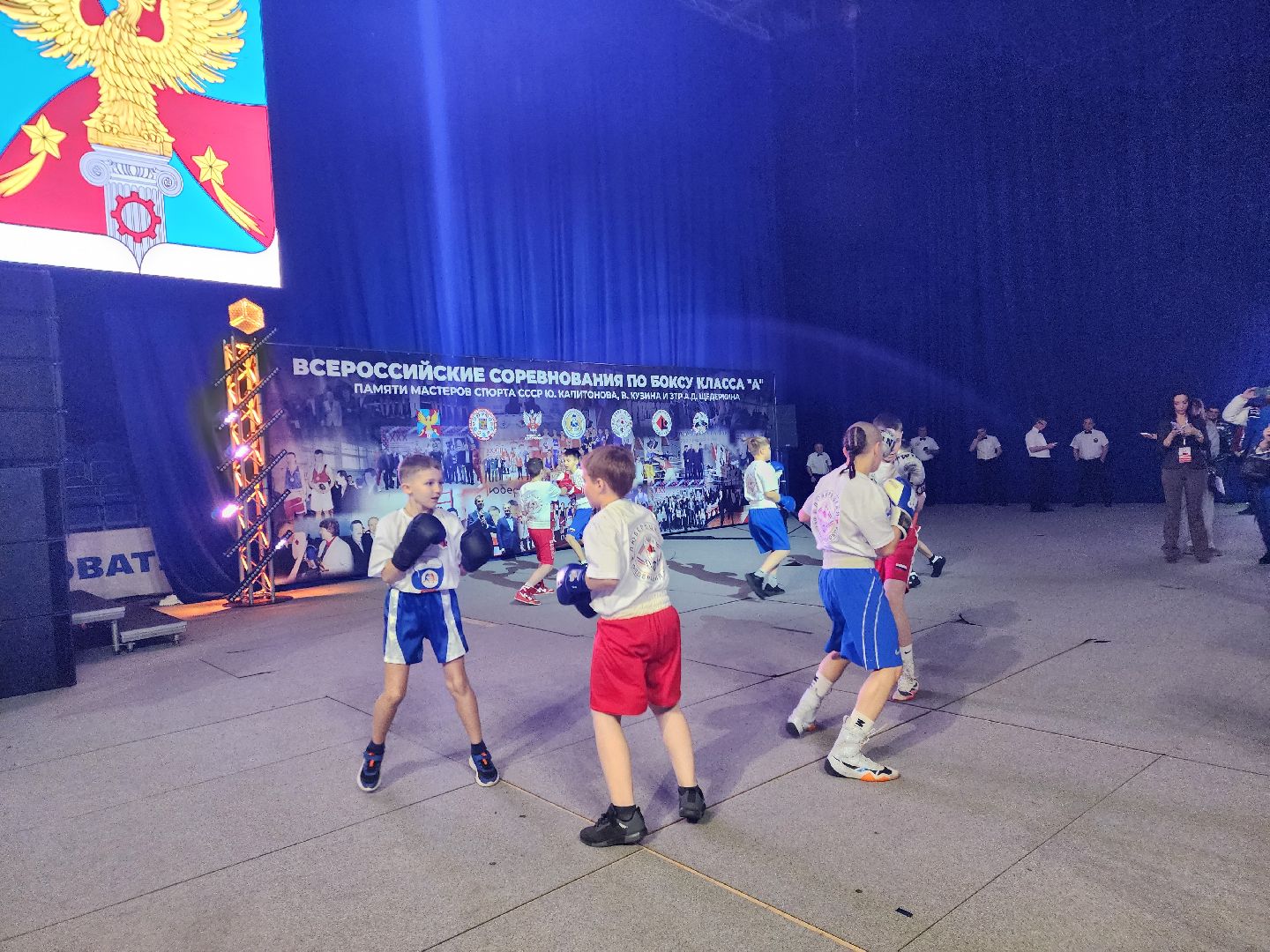 Бокс, соревнования, Болельщики, люберцы,